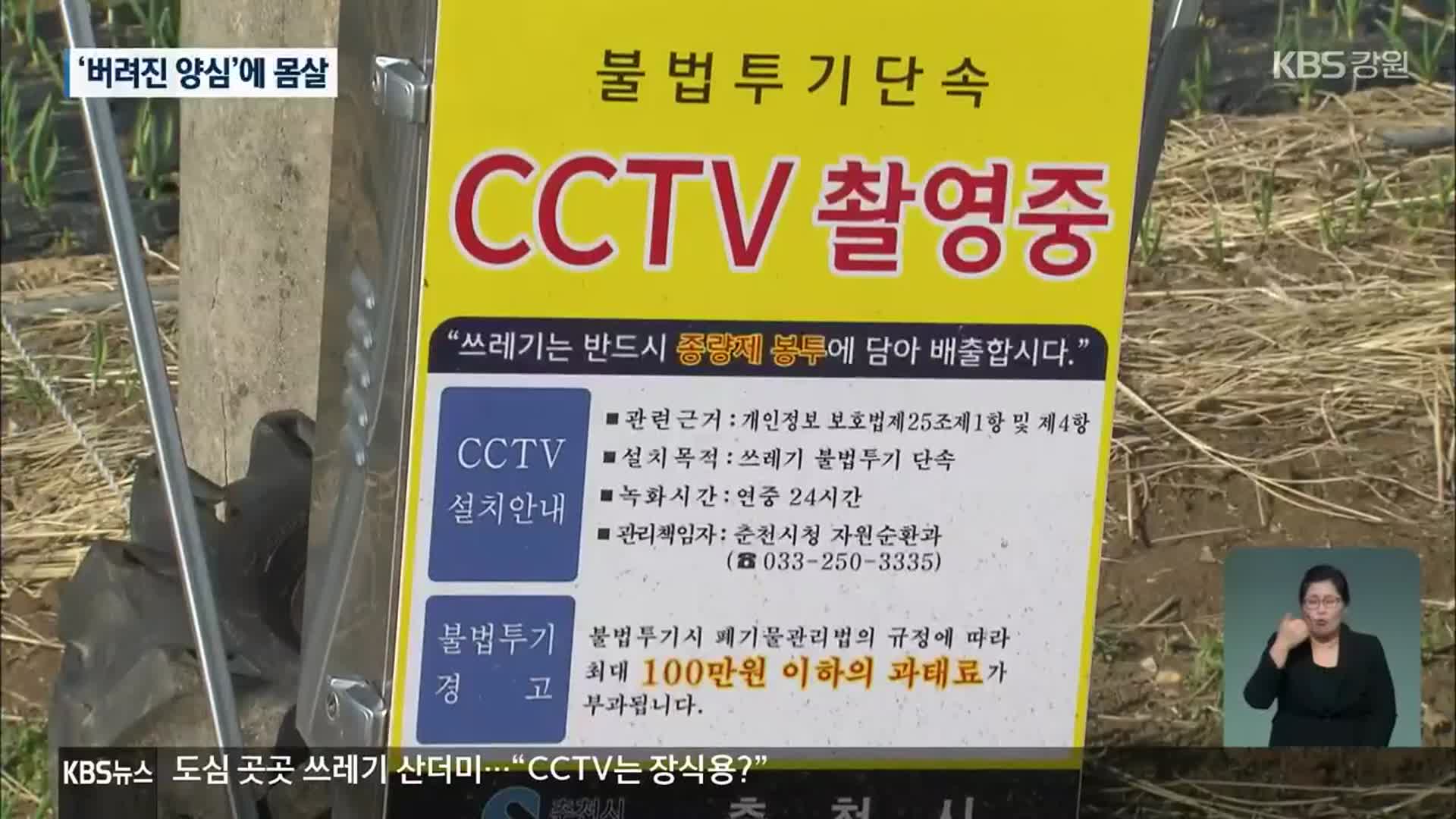 도심 곳곳 쓰레기 산더미…“CCTV는 장식용?”