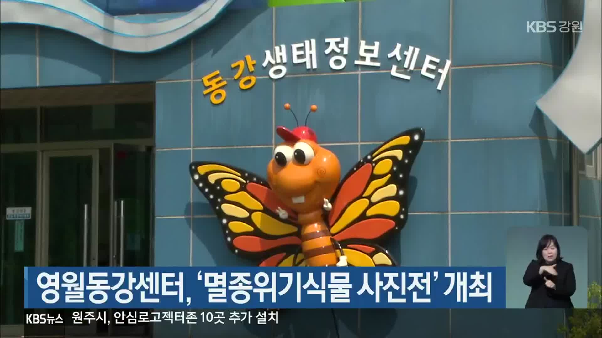 영월동강센터, ‘멸종위기식물 사진전’ 개최