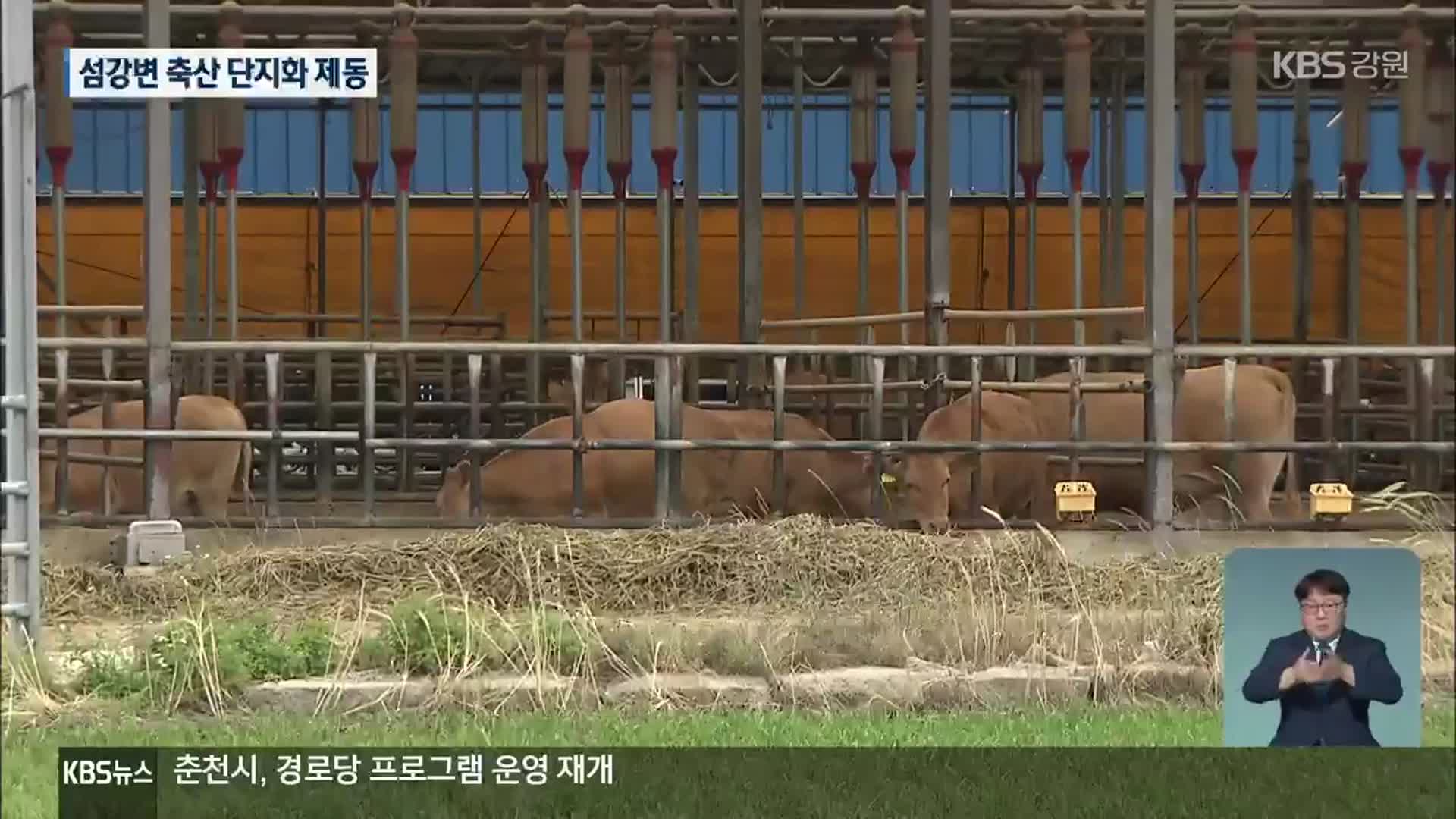 원주 섬강변 축산 단지화 제동…“주민 불편은 여전”