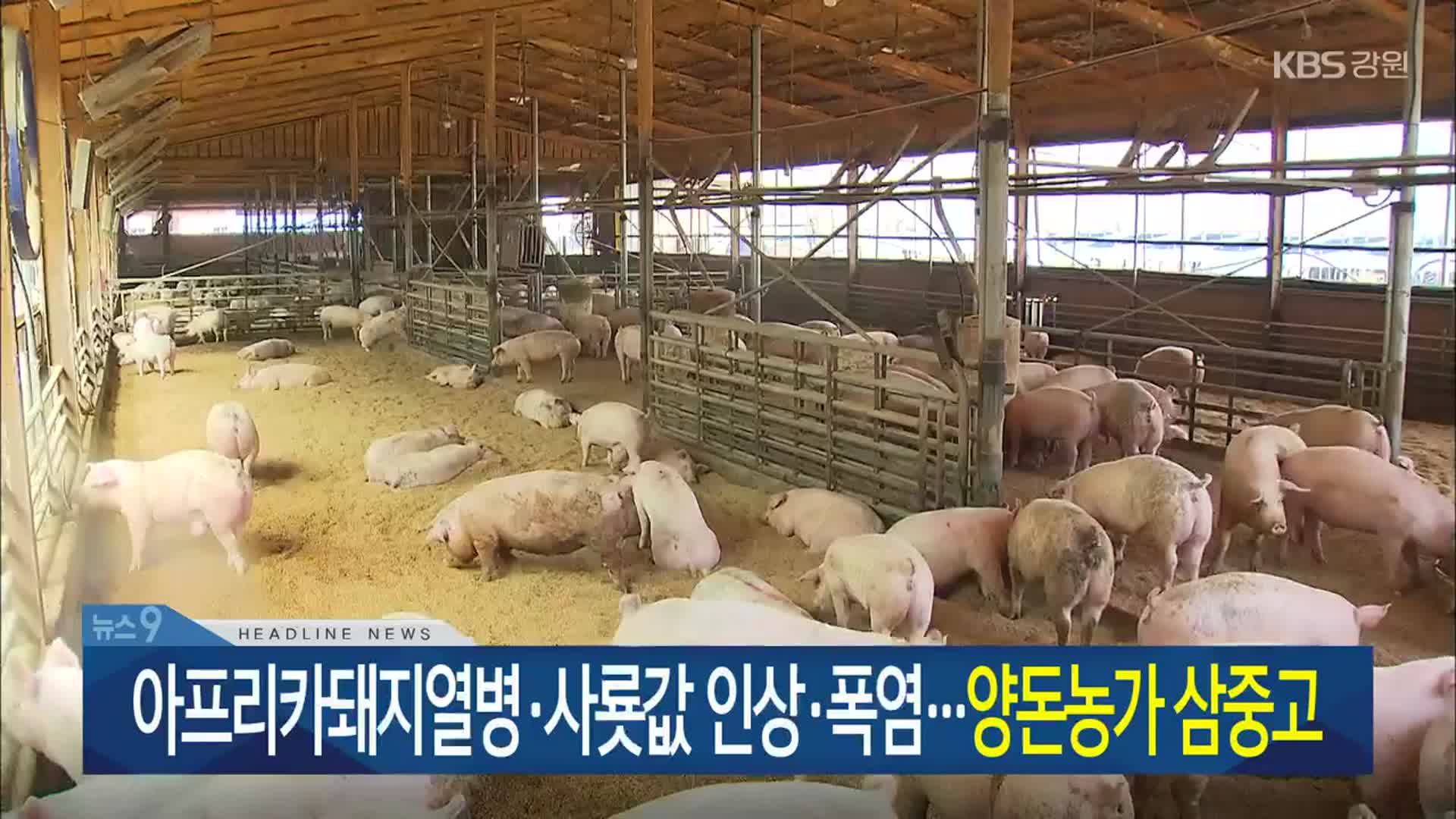 [뉴스9 강원 헤드라인]