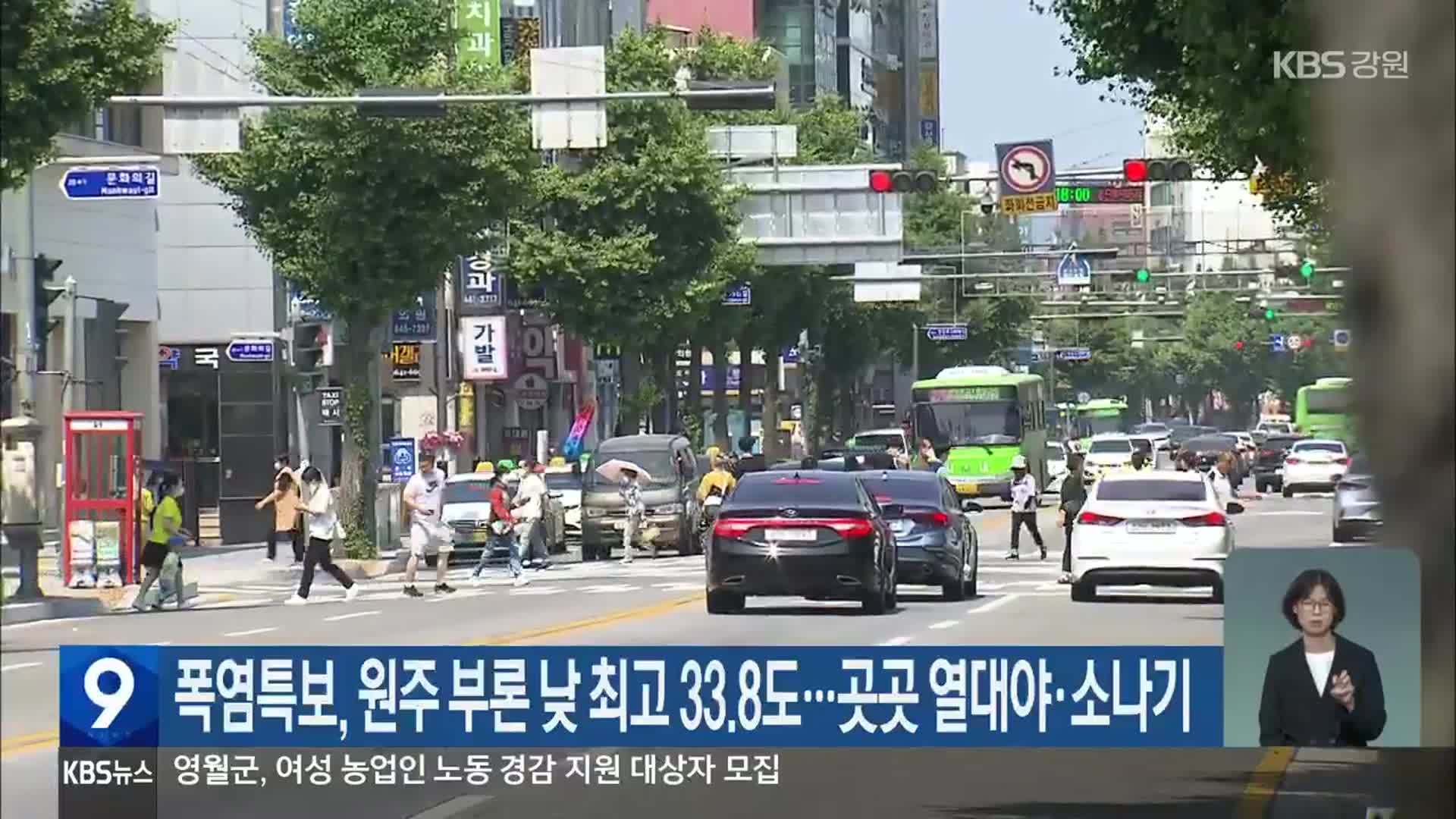 폭염특보, 원주 부론 낮 최고 33.8도…곳곳 열대야·소나기