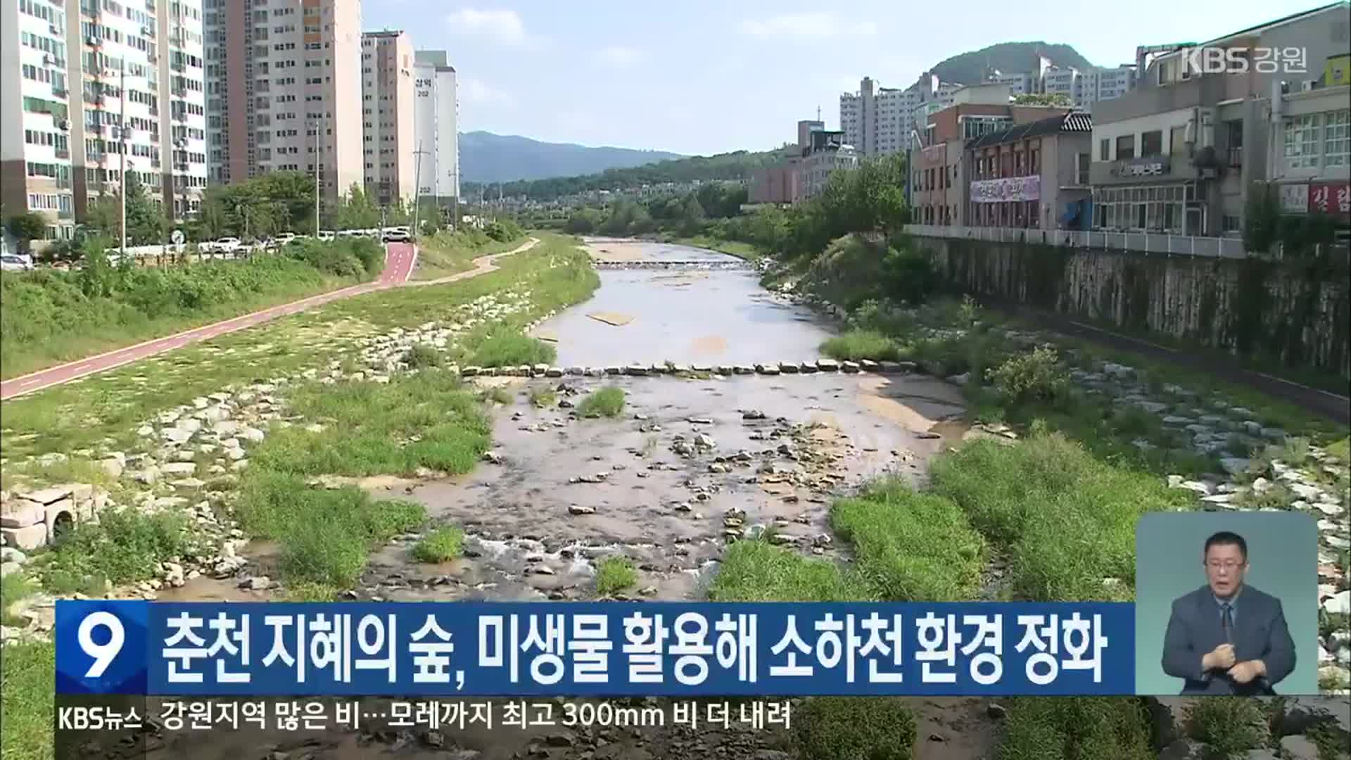 춘천 지혜의 숲, 미생물 활용해 소하천 환경 정화
