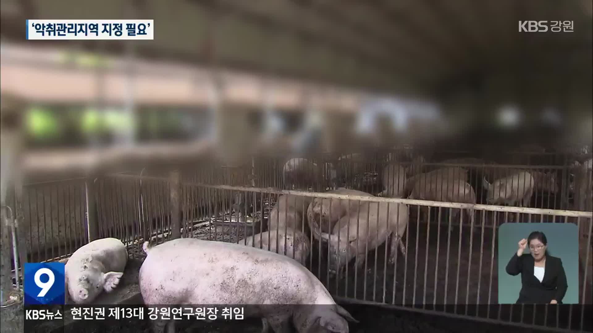 대규모 축사로 악취 호소…행정은 뒷짐