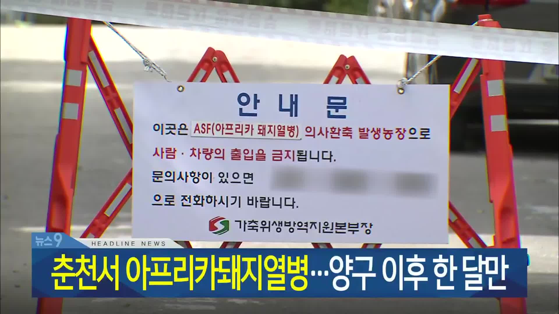 [뉴스9 강원 헤드라인]