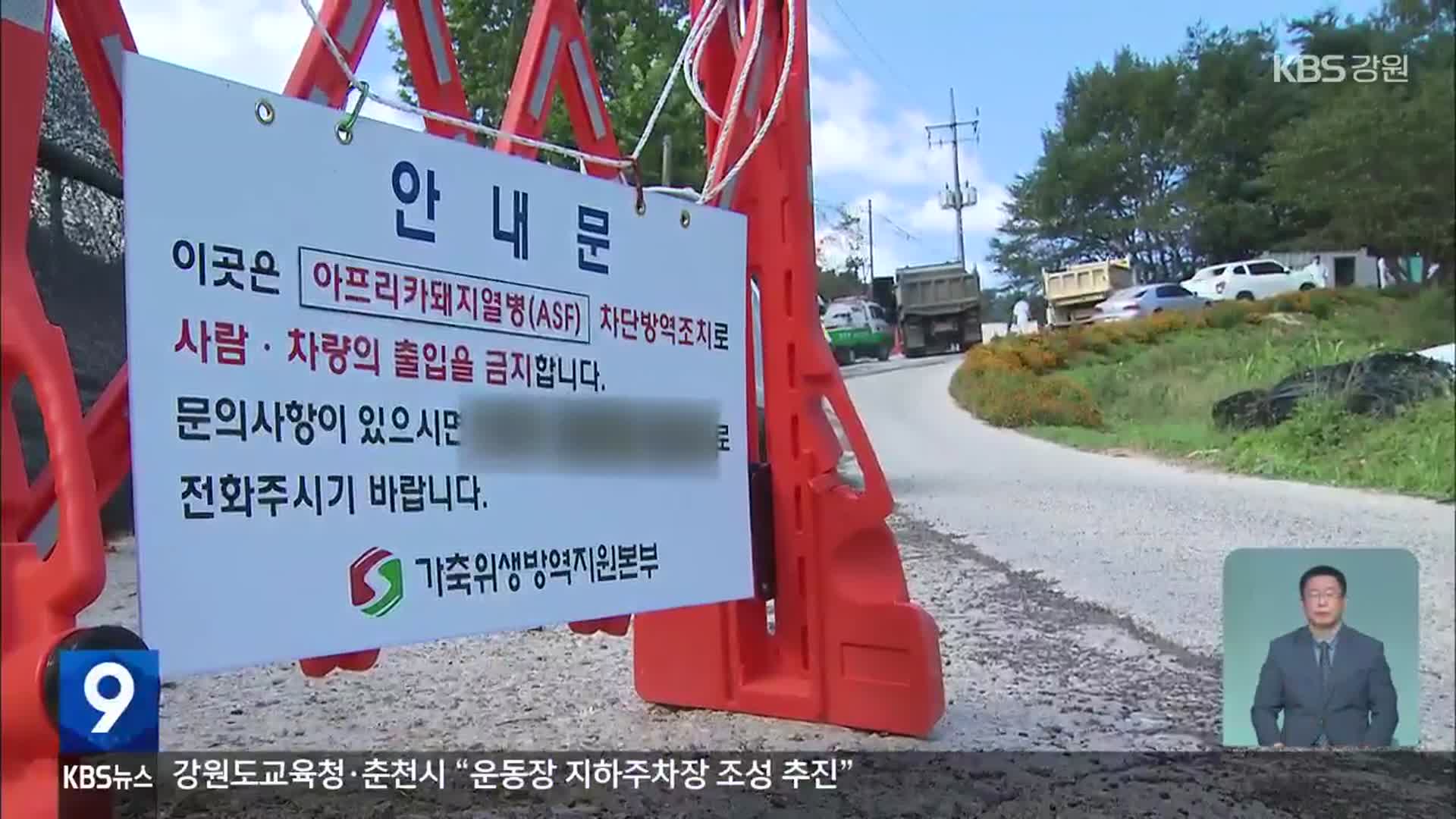 춘천, 농장ASF 첫 발생 하루 만에 또 확진…방역 ‘비상’