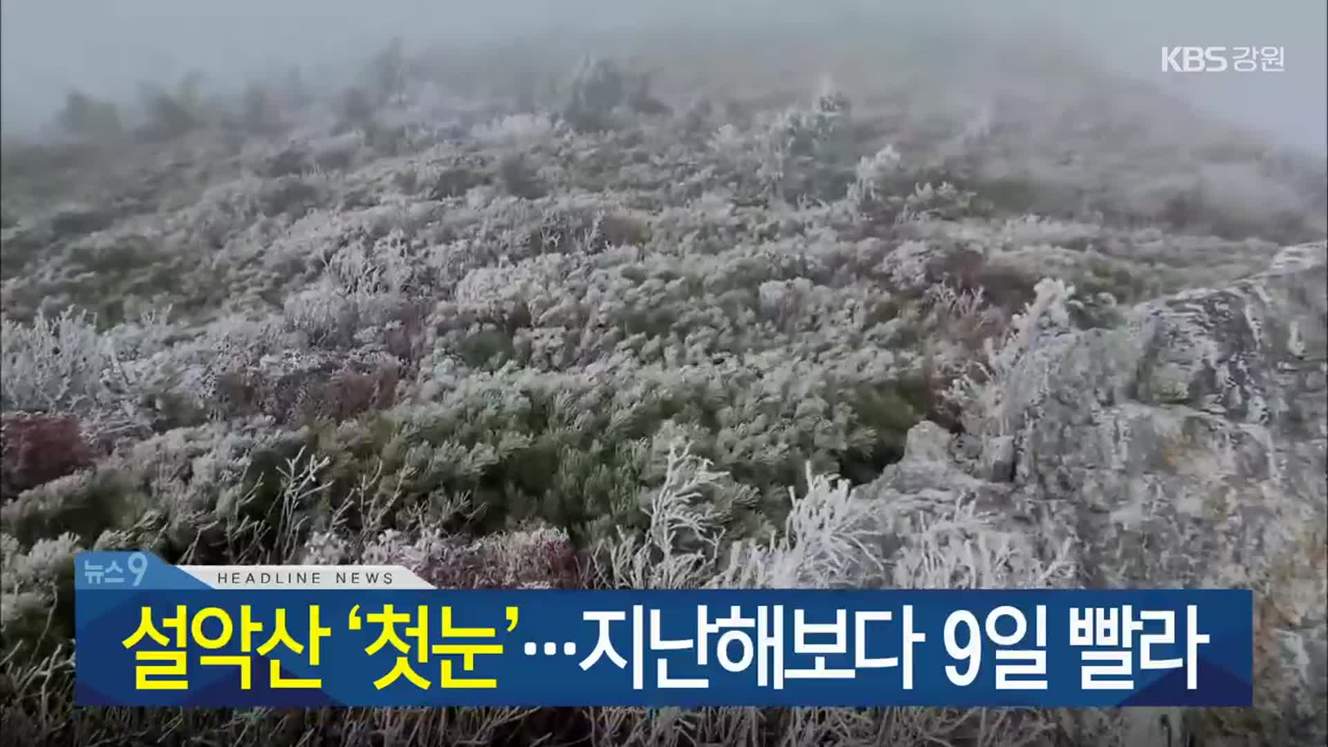 [뉴스9  강원 헤드라인]