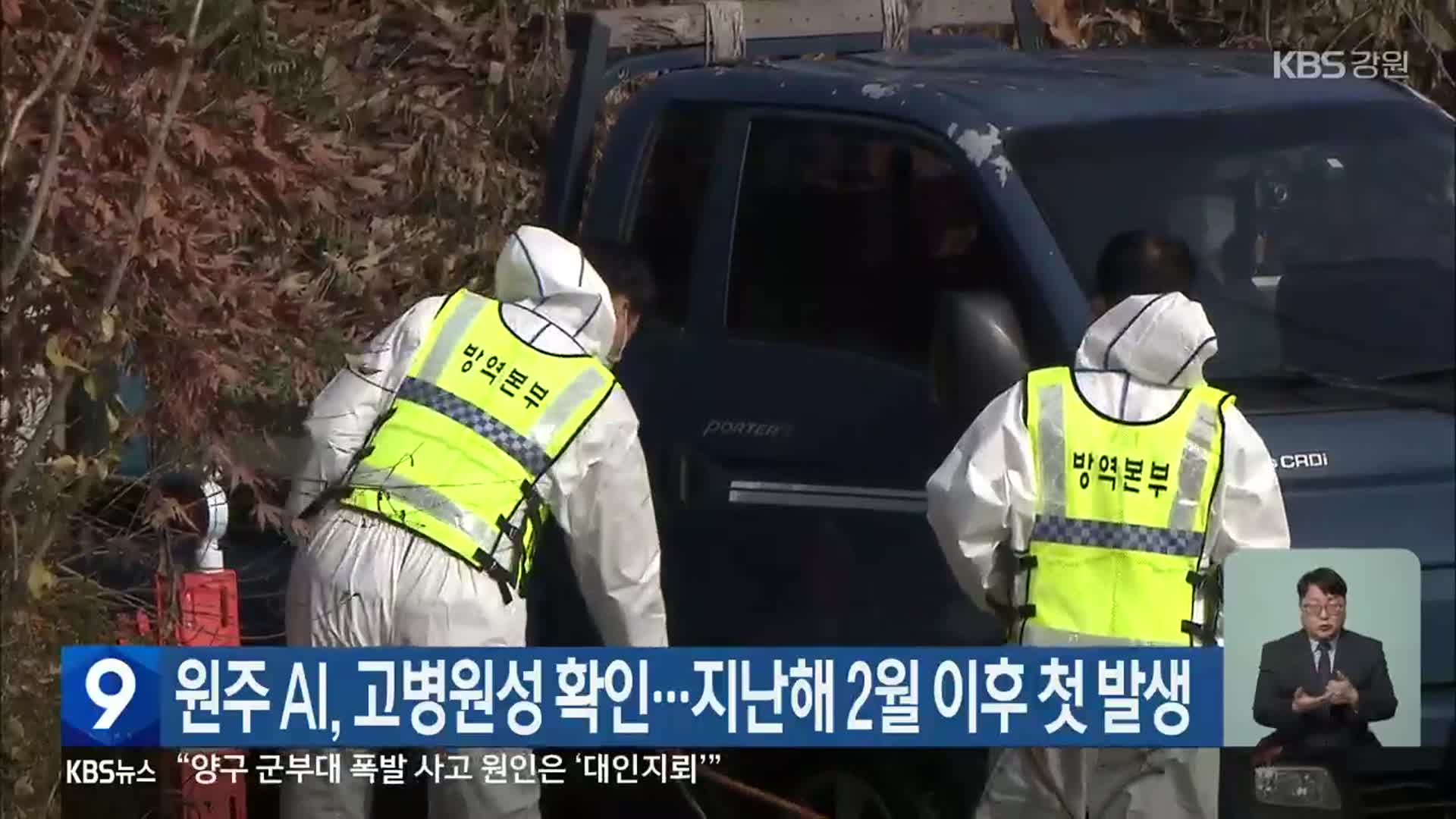 원주 AI, 고병원성 확인…지난해 2월 이후 첫 발생