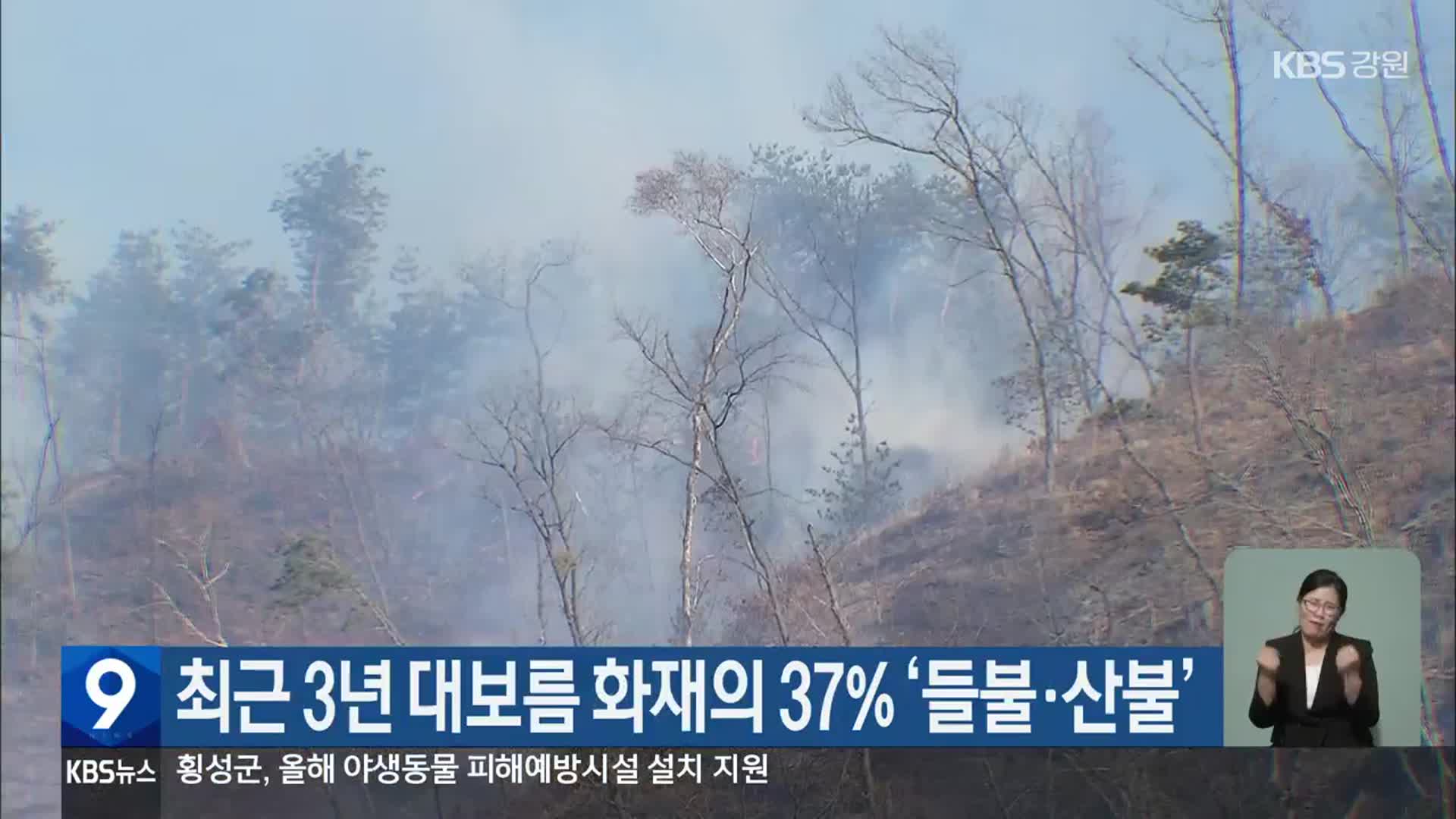 강원 최근 3년 대보름 화재의 37% ‘들불·산불’