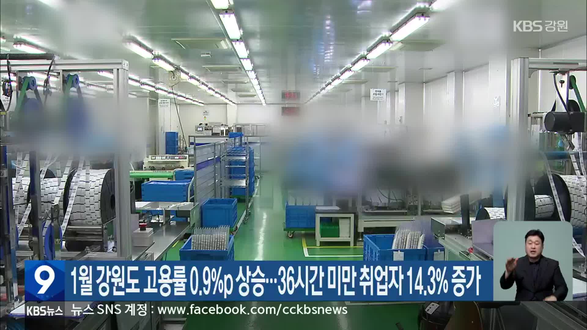 1월 강원도 고용률 0.9%p 상승…36시간 미만 취업자 14.3% 증가