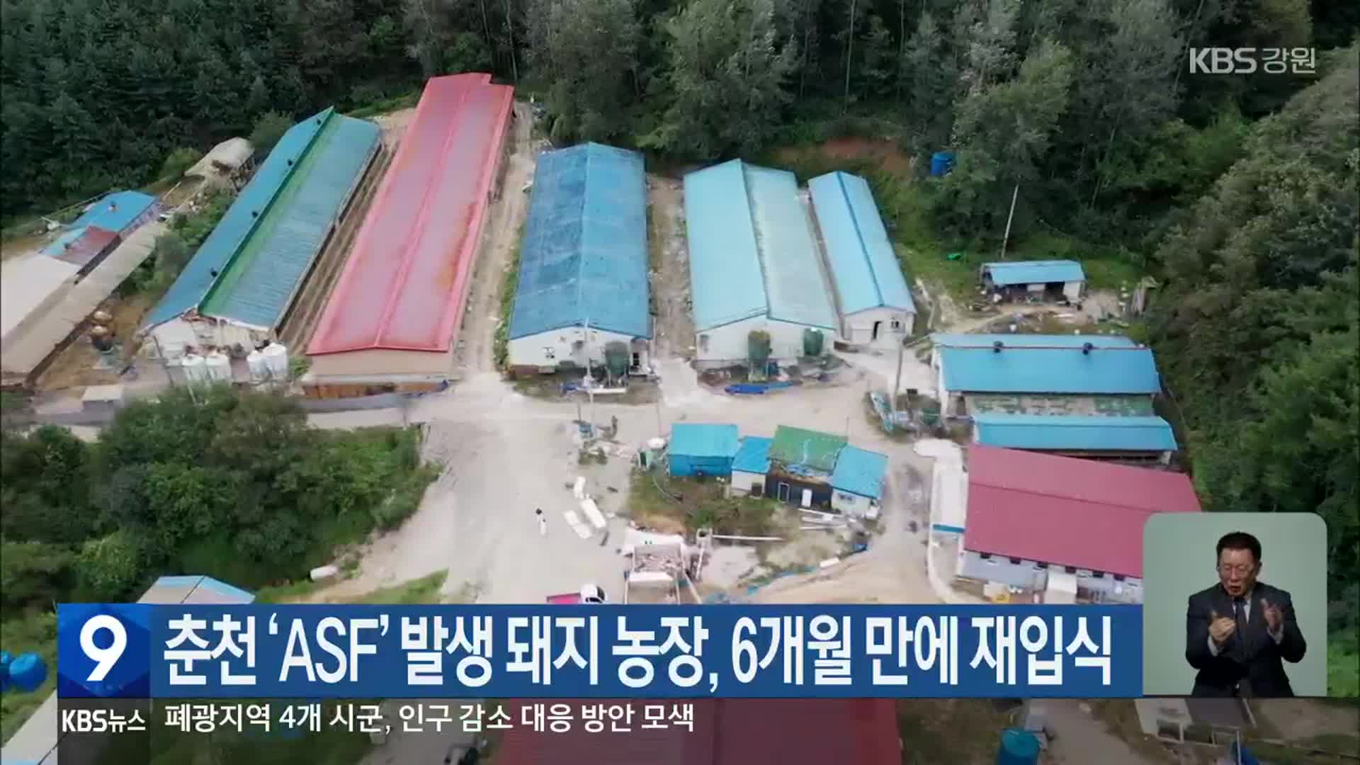 춘천 ‘ASF’ 발생 돼지 농장, 6개월 만에 재입식