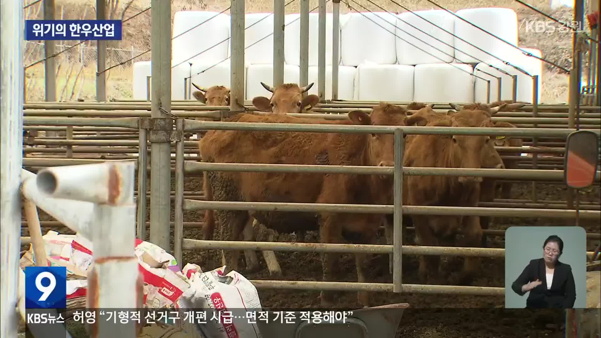 한웃값은 폭락, 경영비는 폭등…위기의 한우산업