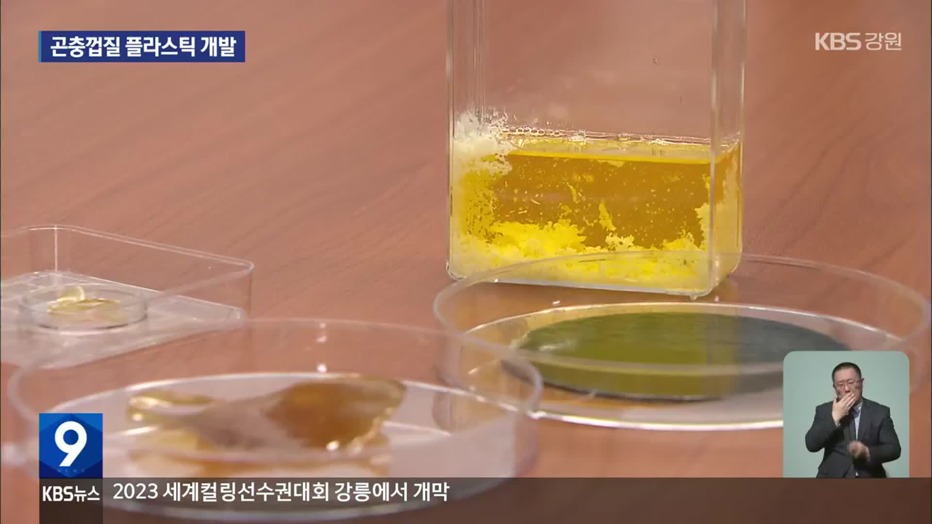곤충의 변신은 무죄?…강원도 ‘곤충산업거점’ 도전