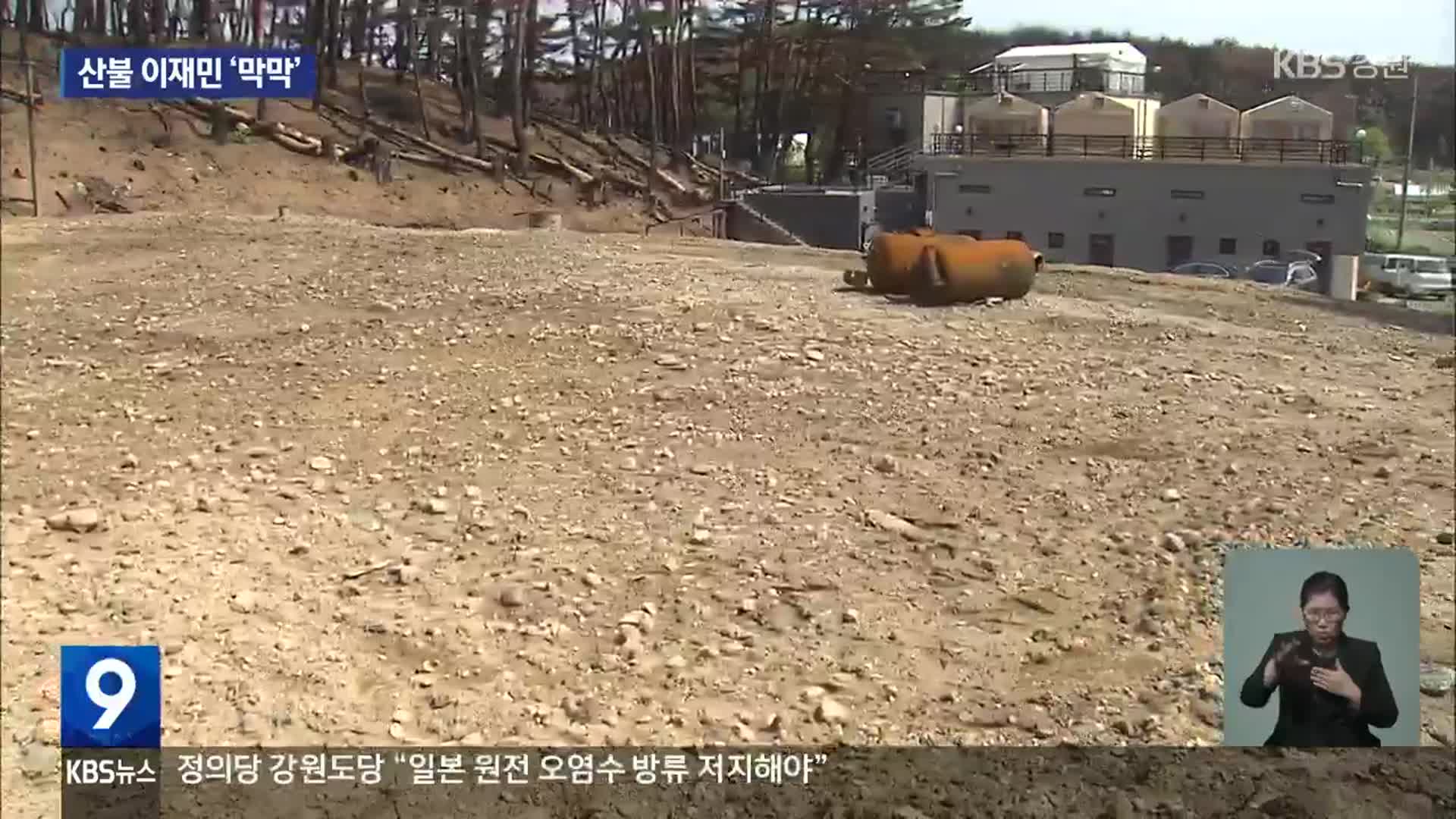 강릉 경포동 산불 한 달…복구 시작됐지만 ‘막막’