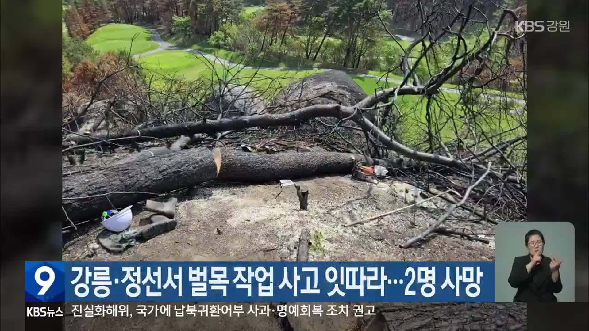 강릉·정선서 벌목 작업 사고 잇따라…2명 사망