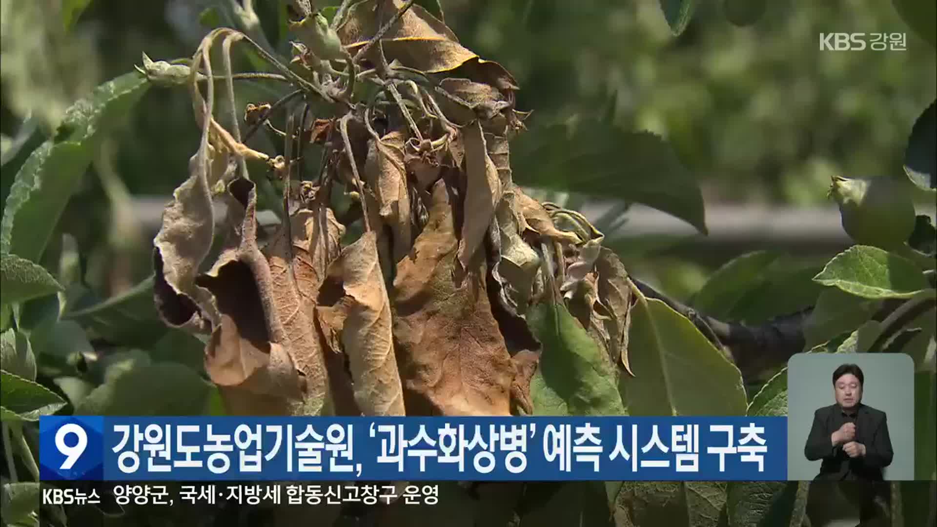 강원도농업기술원, ‘과수화상병’ 예측 시스템 구축