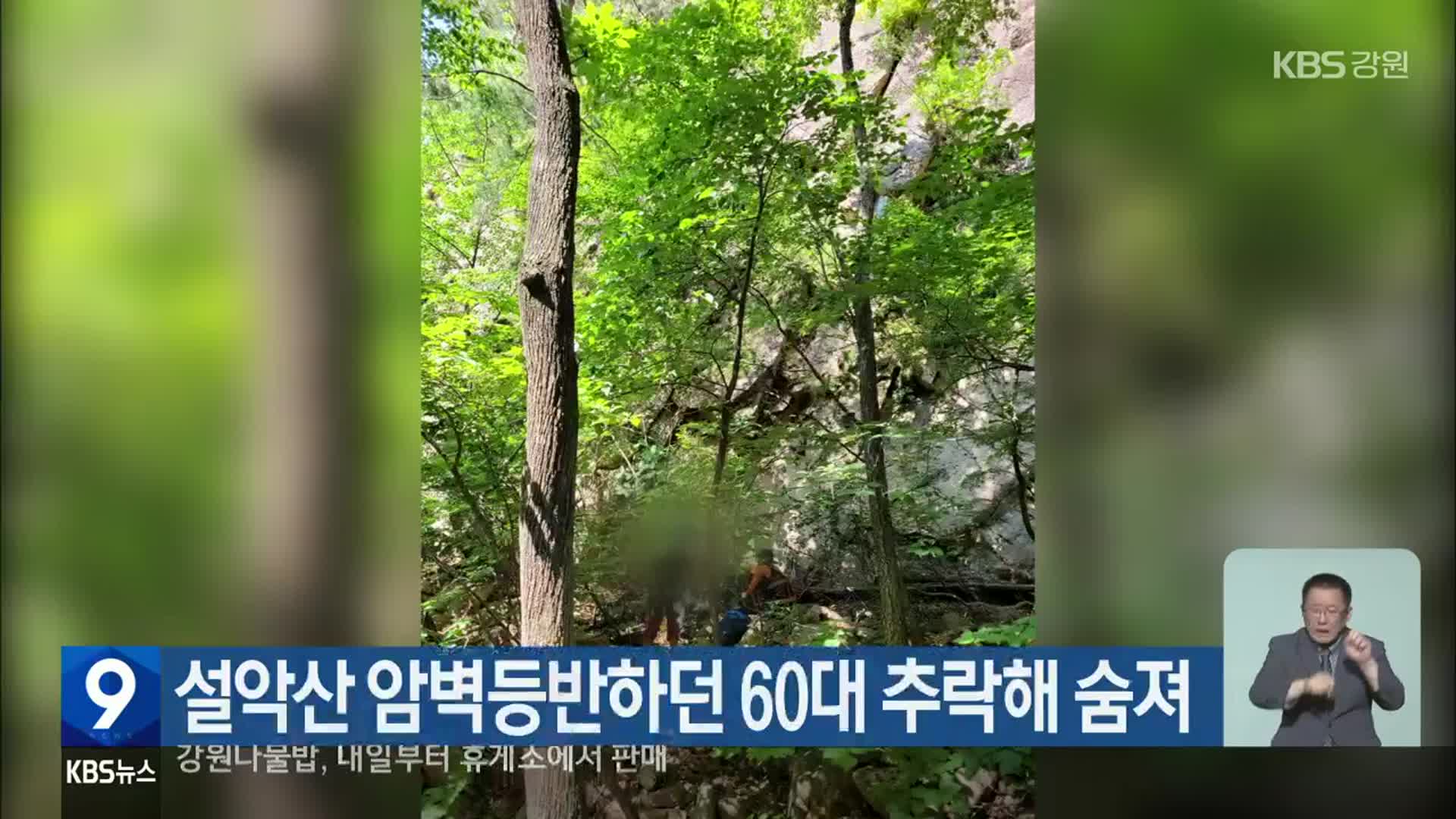 설악산 암벽등반하던 60대 추락해 숨져