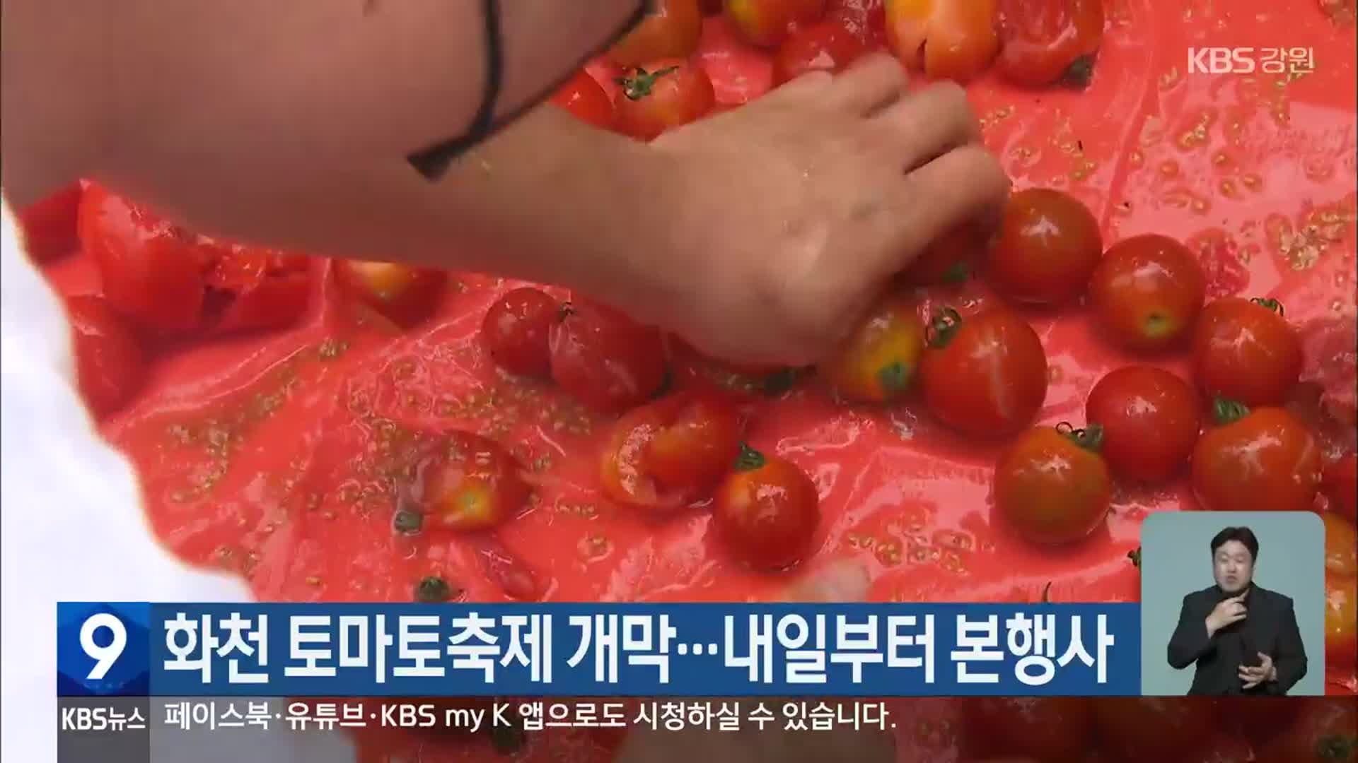 화천 토마토축제 개막…내일부터 본행사