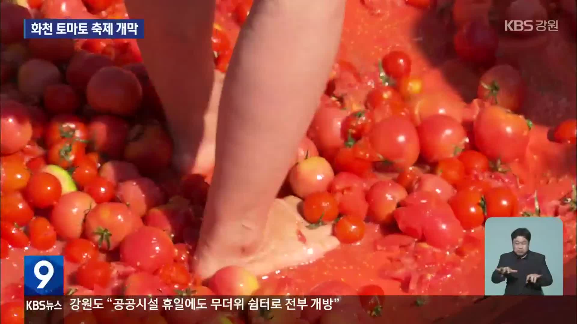 화천 토마토 축제 개막…“붉은 토마토 속으로”