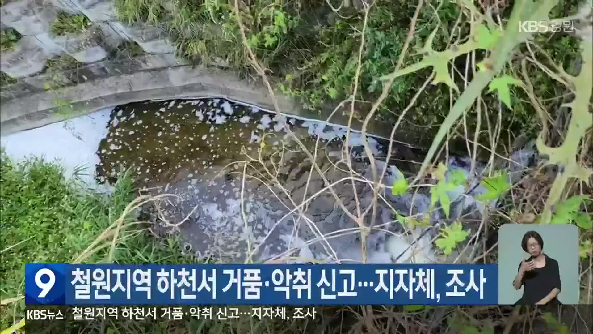 철원지역 하천서 거품·악취 신고…지자체, 조사