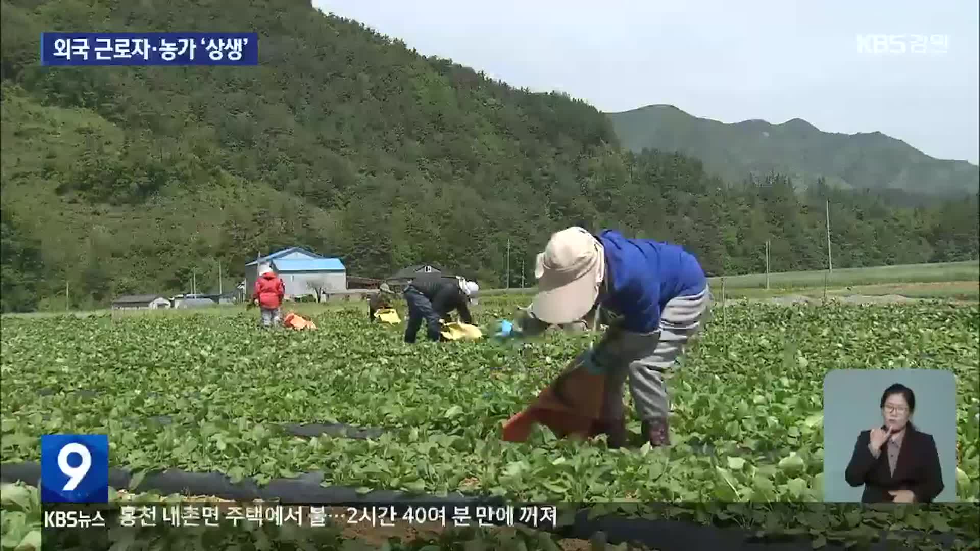 공공형 외국인 계절 근로자 ‘호평’…정선군, 확대 추진