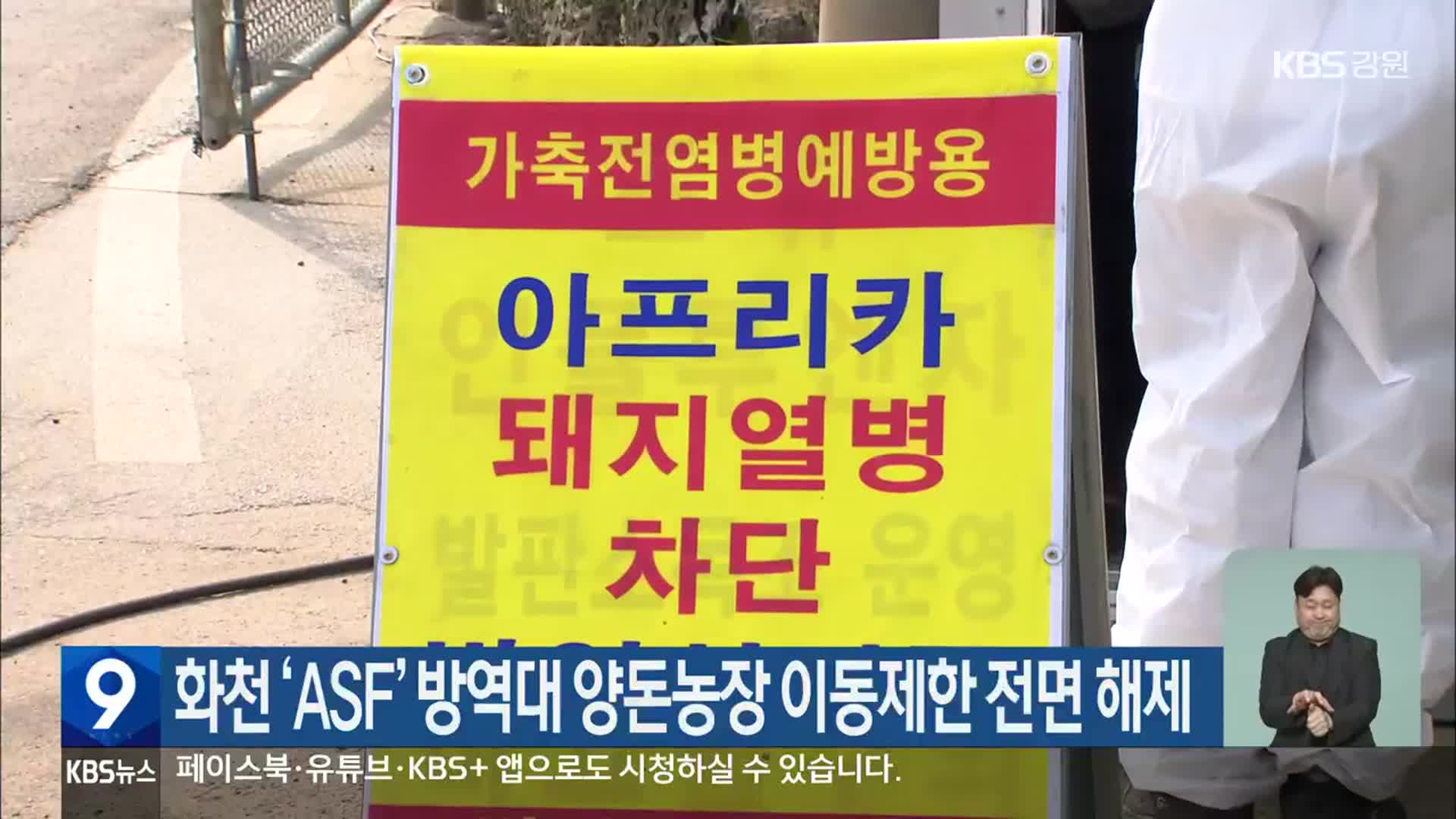 화천 ‘ASF’ 방역대 양돈농장 이동제한 전면 해제