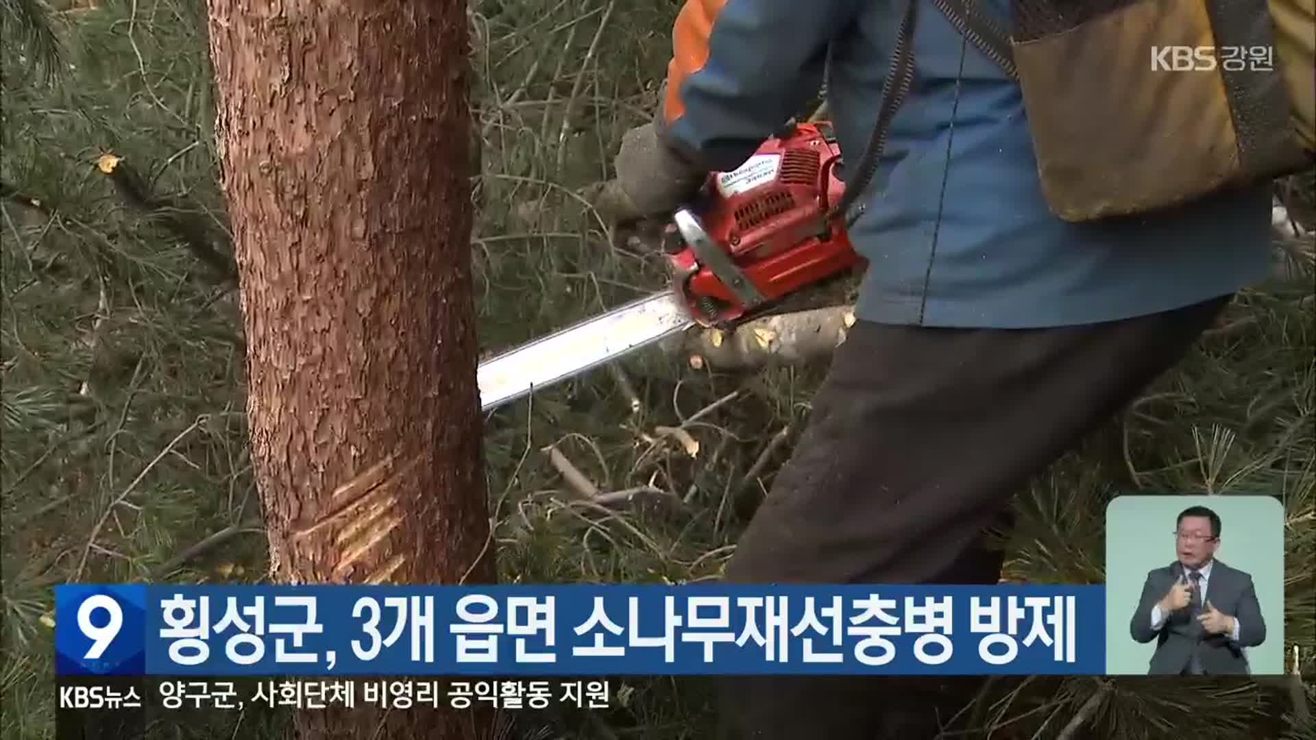 횡성군, 3개 읍면 소나무재선충병 방제