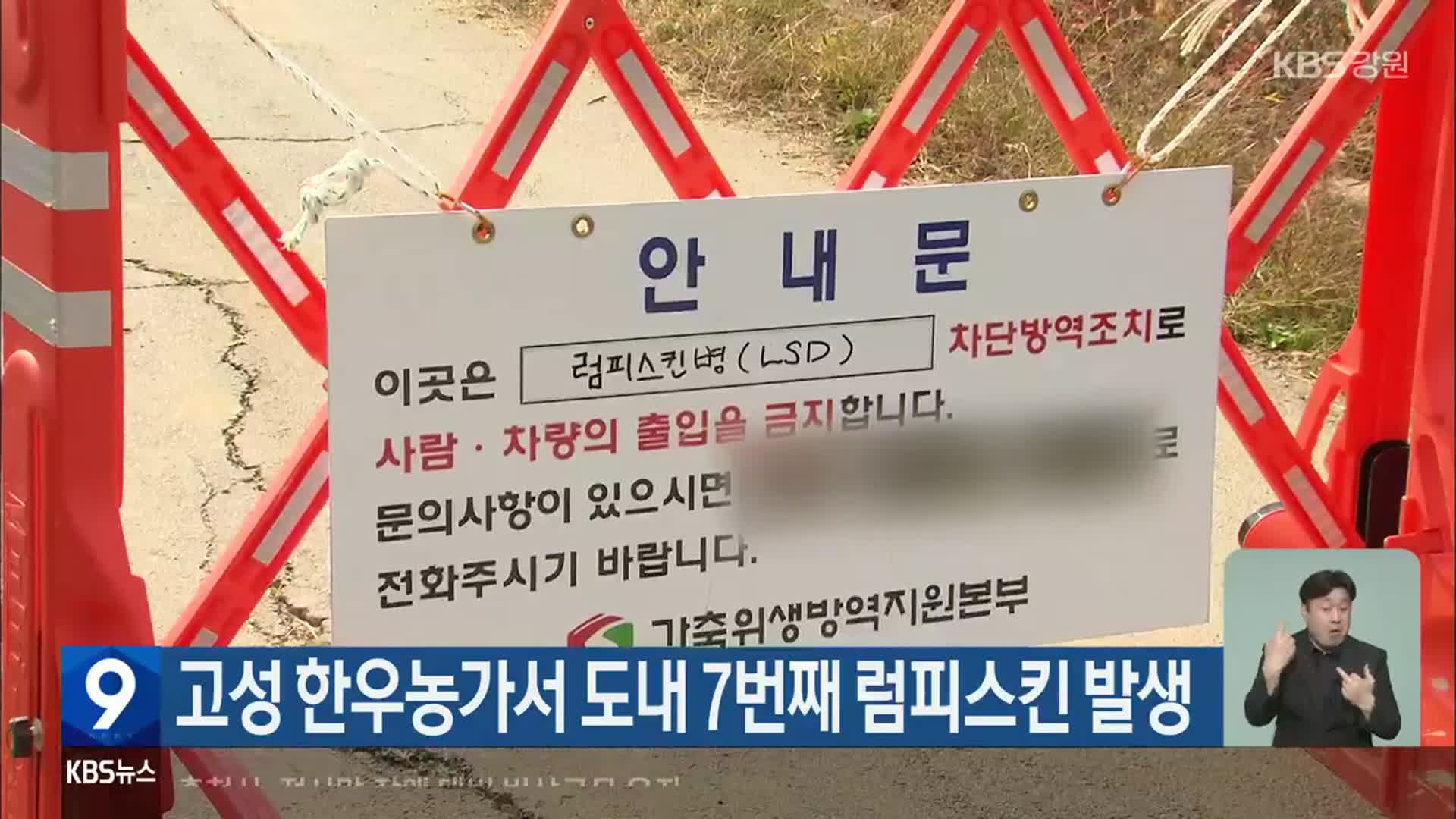 고성 한우농가서 강원도 내 7번째 럼피스킨 발생