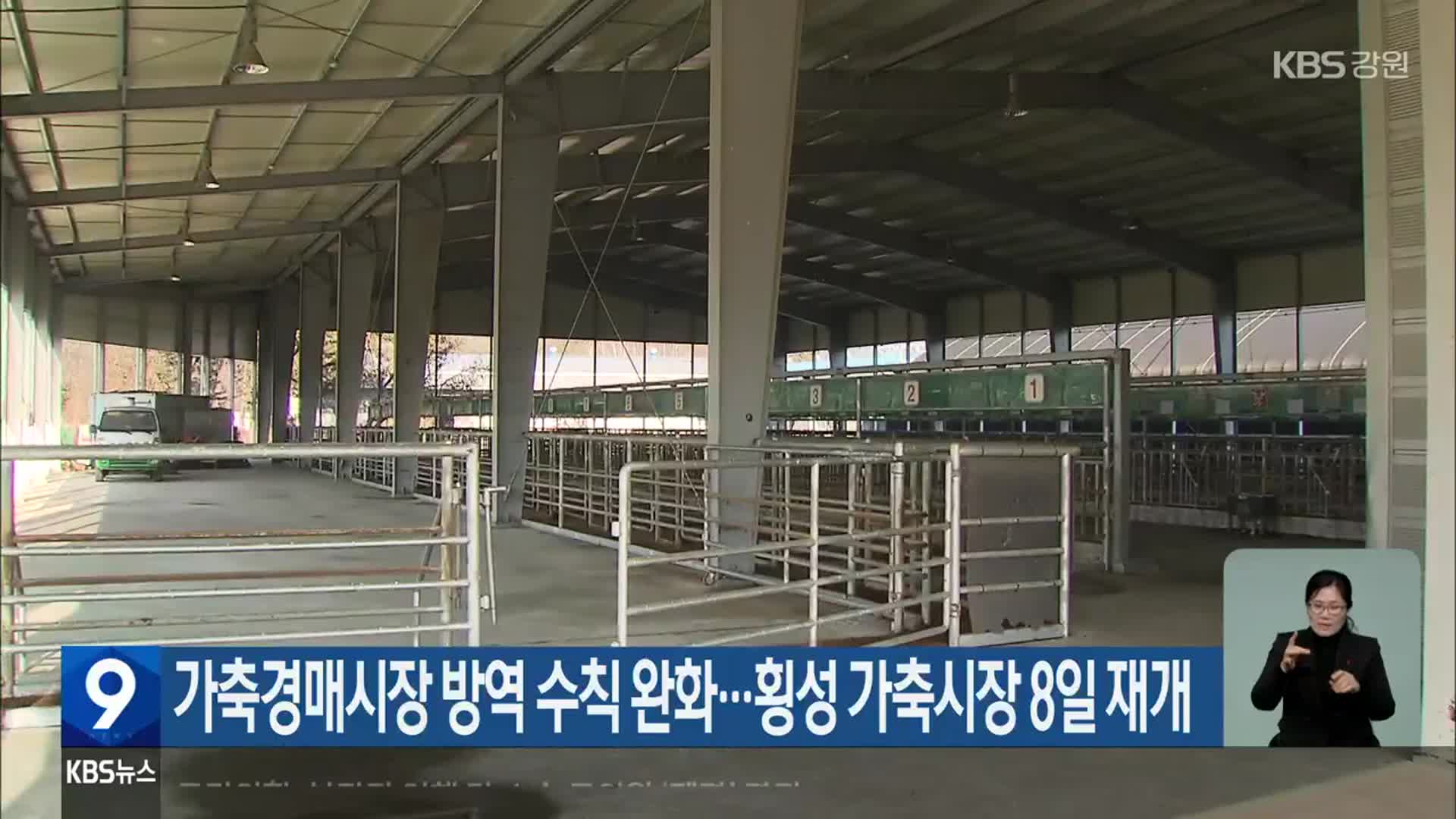 가축경매시장 방역 수칙 완화…횡성 가축시장 8일 재개