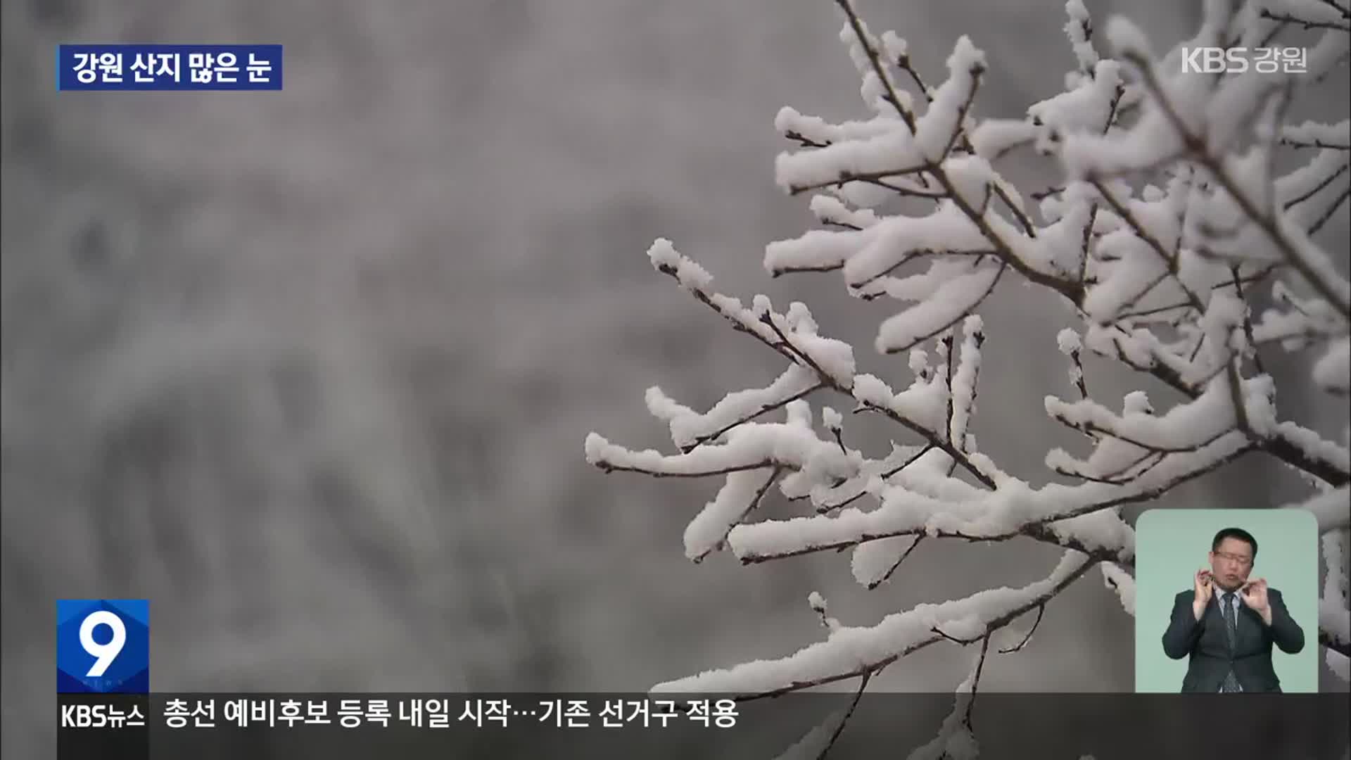 강원북부 산지에 많은 눈…해안은 온종일 비