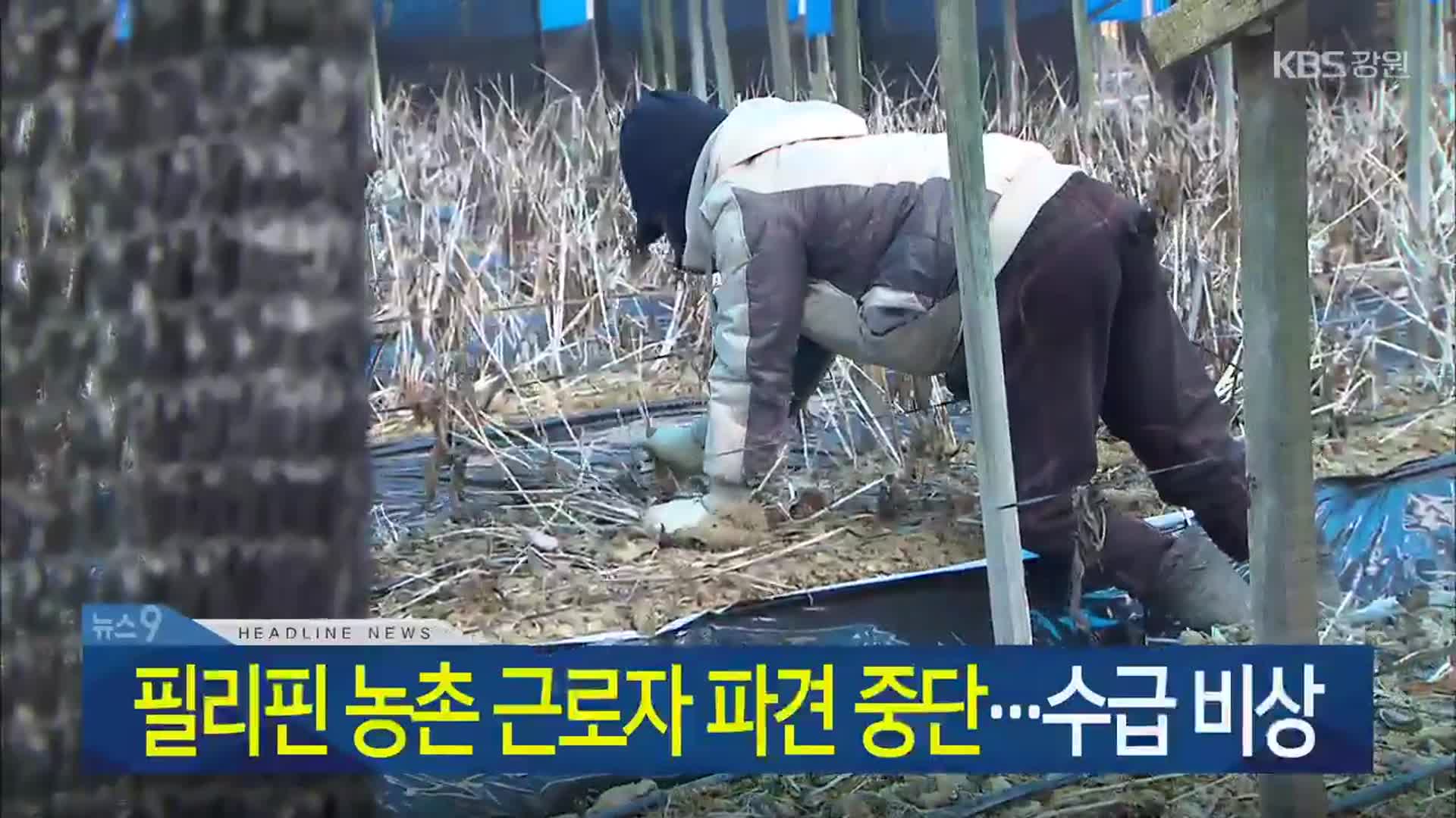[뉴스9 강원 헤드라인]