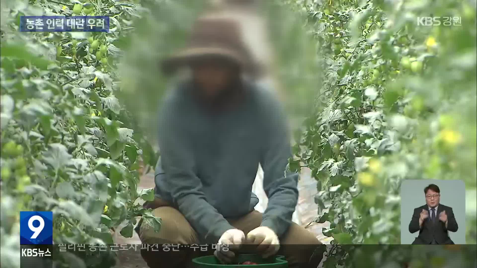 필리핀 농촌 근로자 파견 중단…농촌 인력 대란 우려