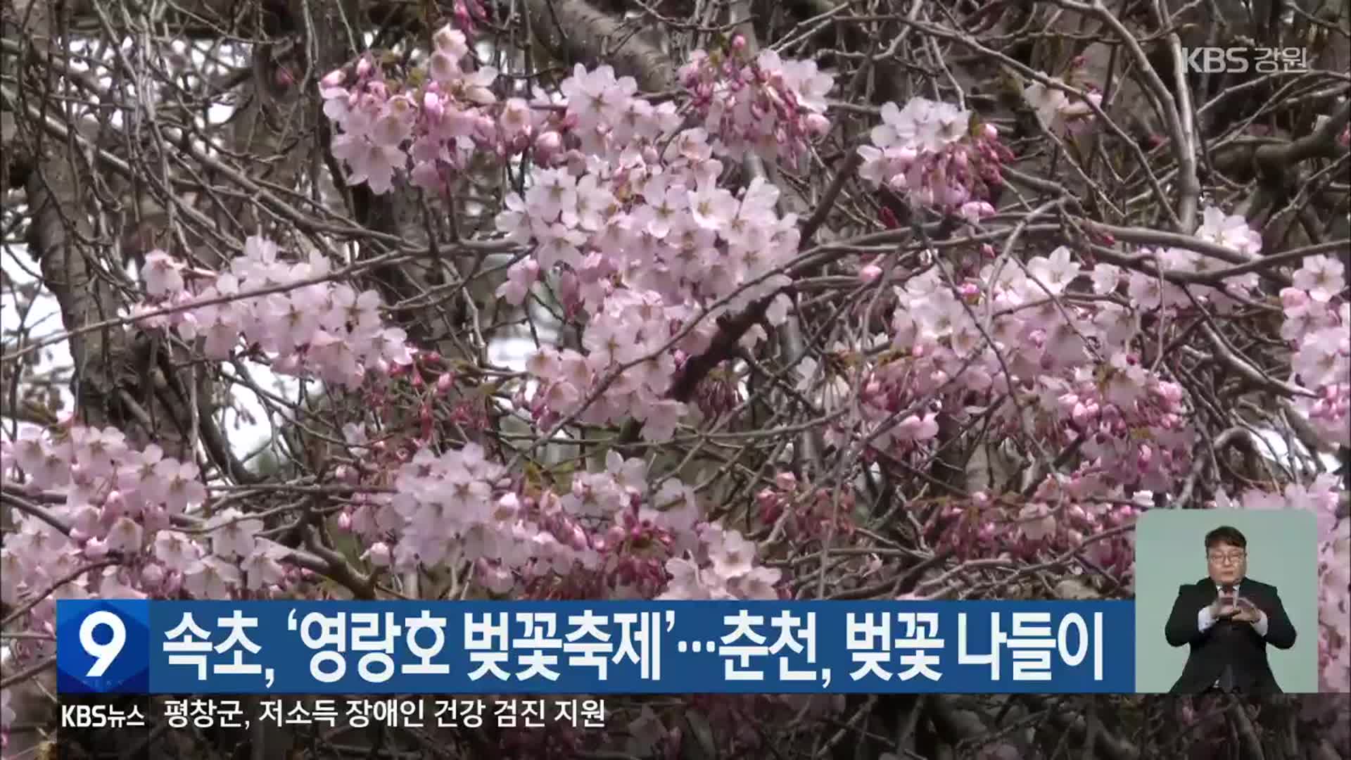 속초, ‘영랑호 벚꽃축제’…춘천, 벚꽃 나들이