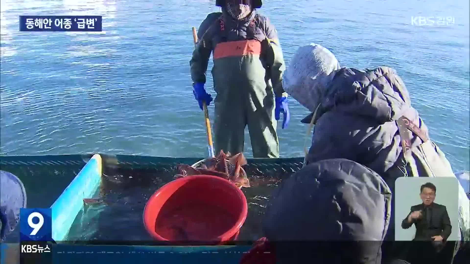 동해안 어종 ‘급변’…정책 변화 ‘필요’