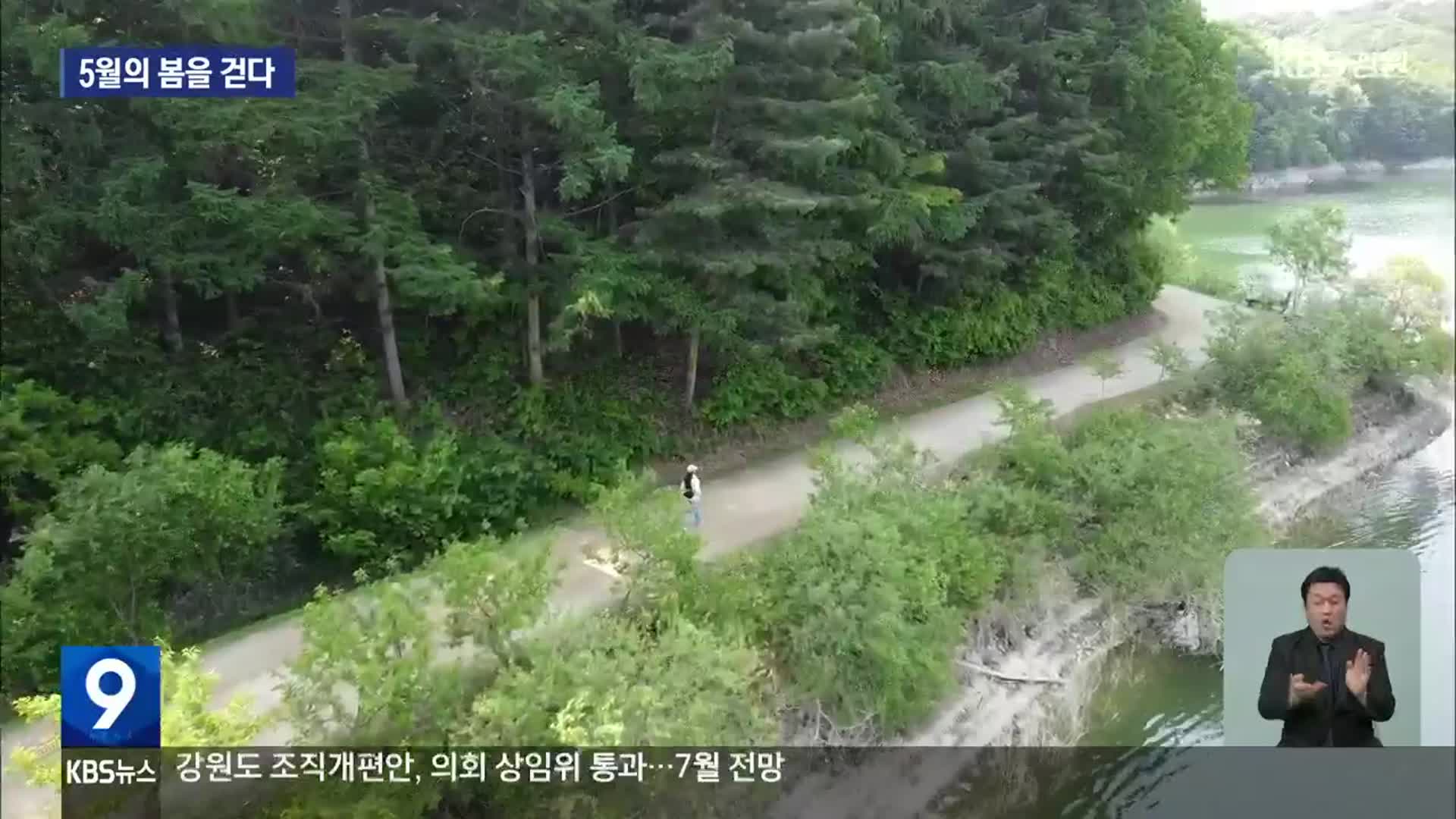 ‘윤슬 따라 걸어요’…횡성호수길 축제 개막