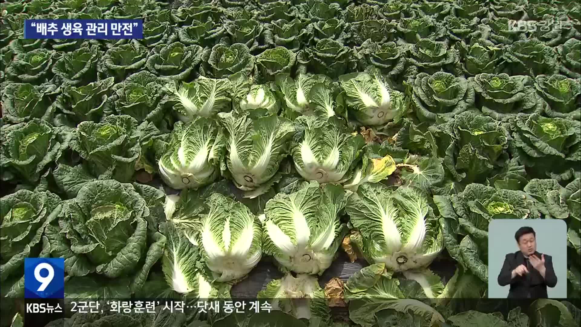 농식품부 장관, 평창 고랭지 현장 점검…“가격 안정 최선”