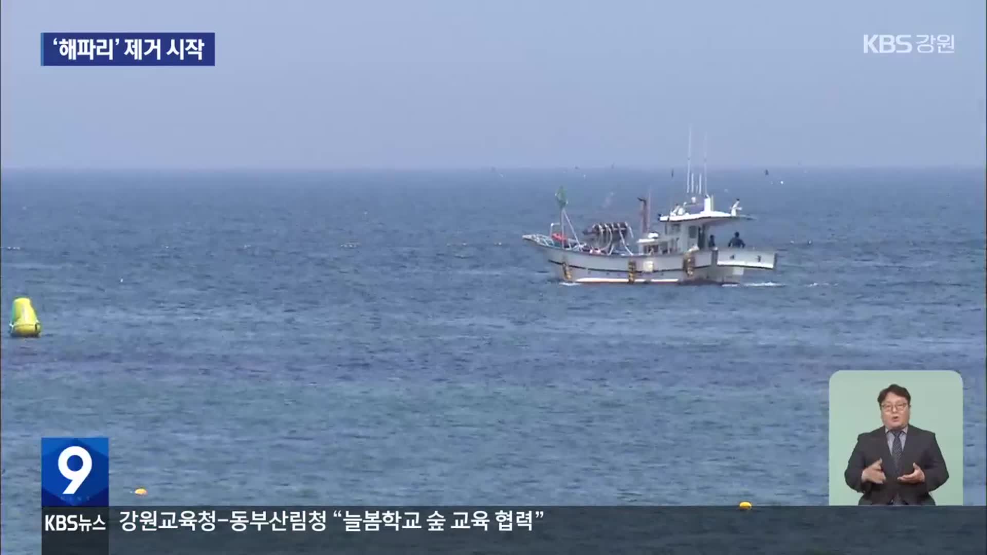 해수욕장에 어선 투입…‘해파리 구제’ 시작