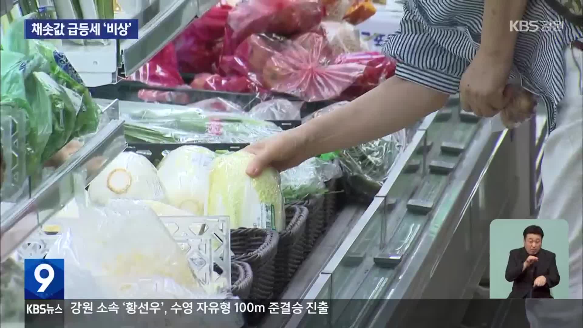 폭우·폭염에 여름 채솟값 급등세 ‘비상’