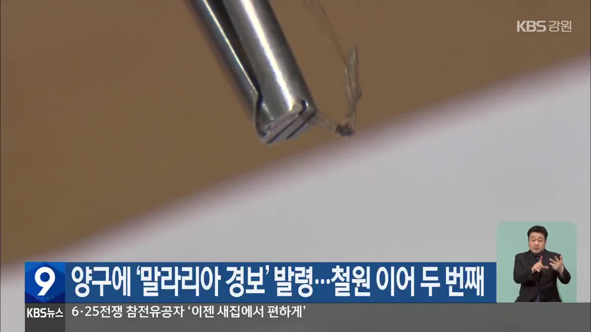 양구에 ‘말라리아 경보’ 발령…철원 이어 두 번째