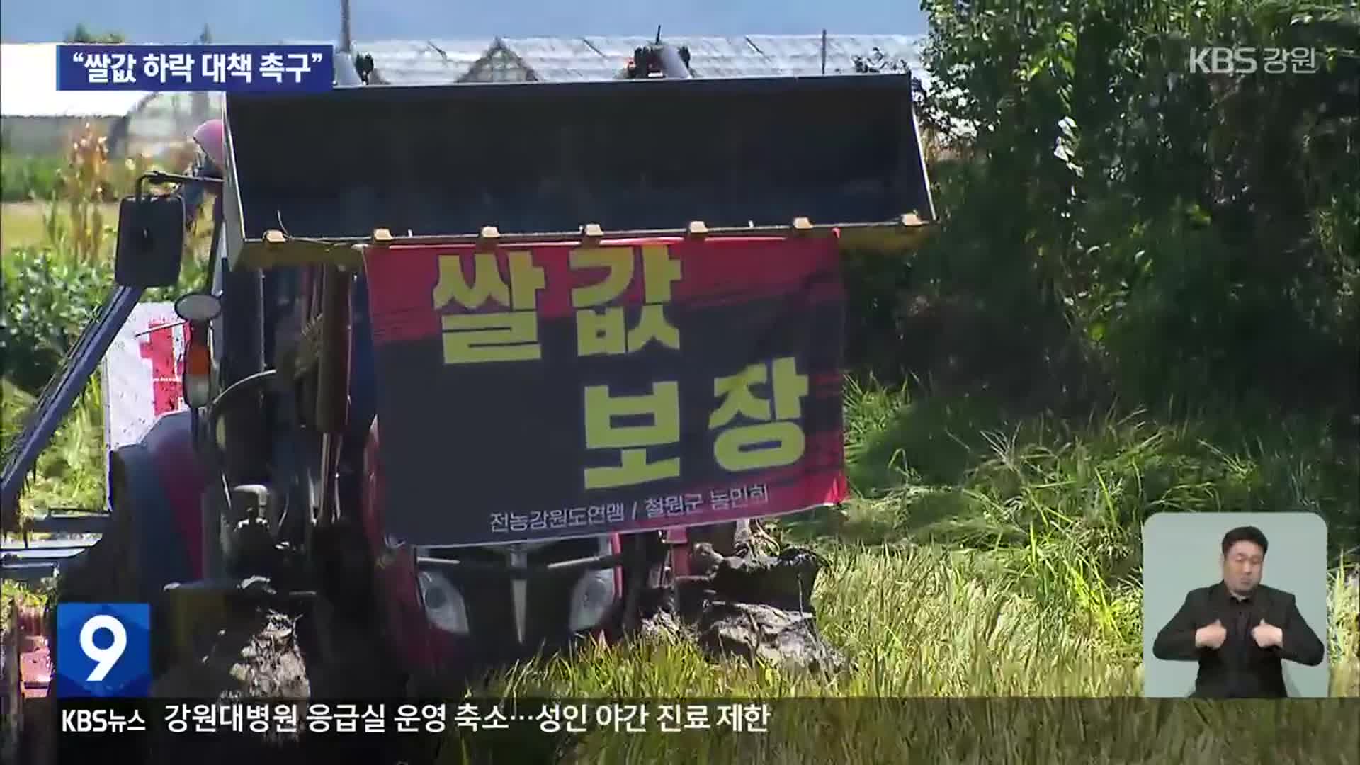 “논 갈아엎는 게 낫다”…농민들, 쌀값 하락 대책 촉구