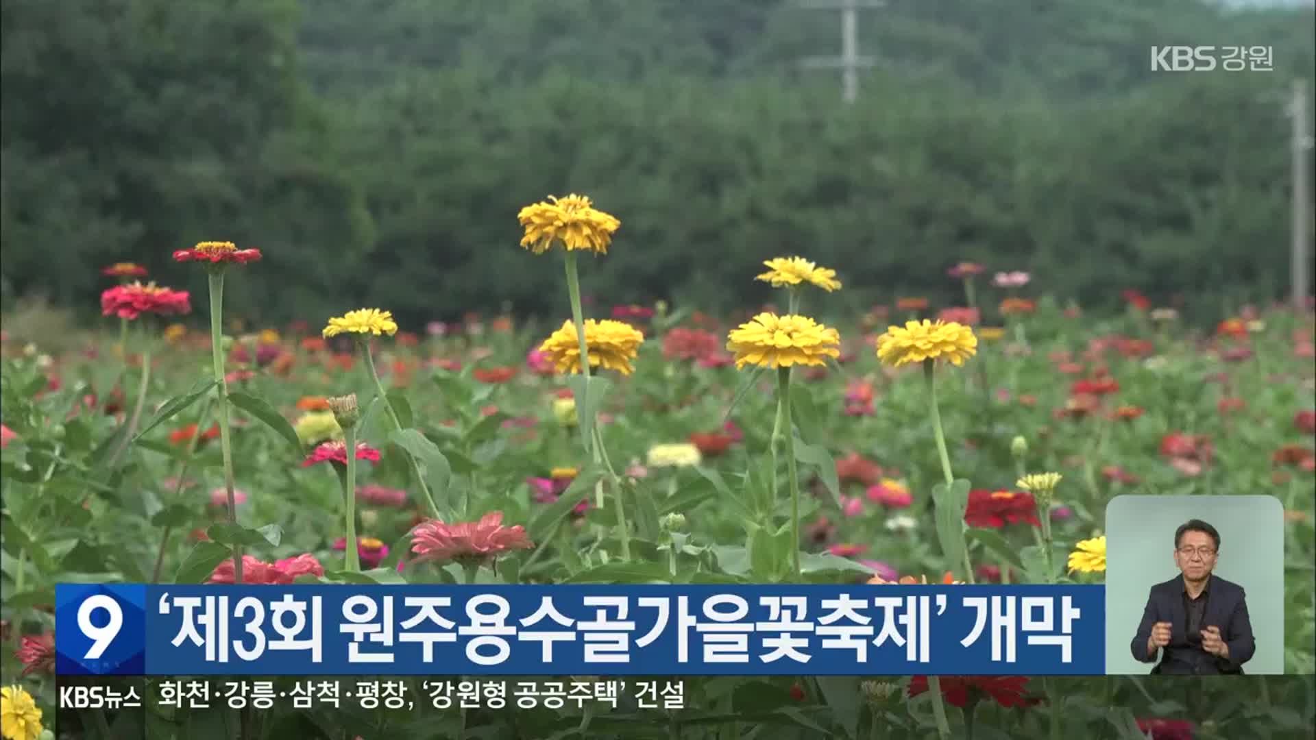 ‘제3회 원주용수골가을꽃축제’ 개막