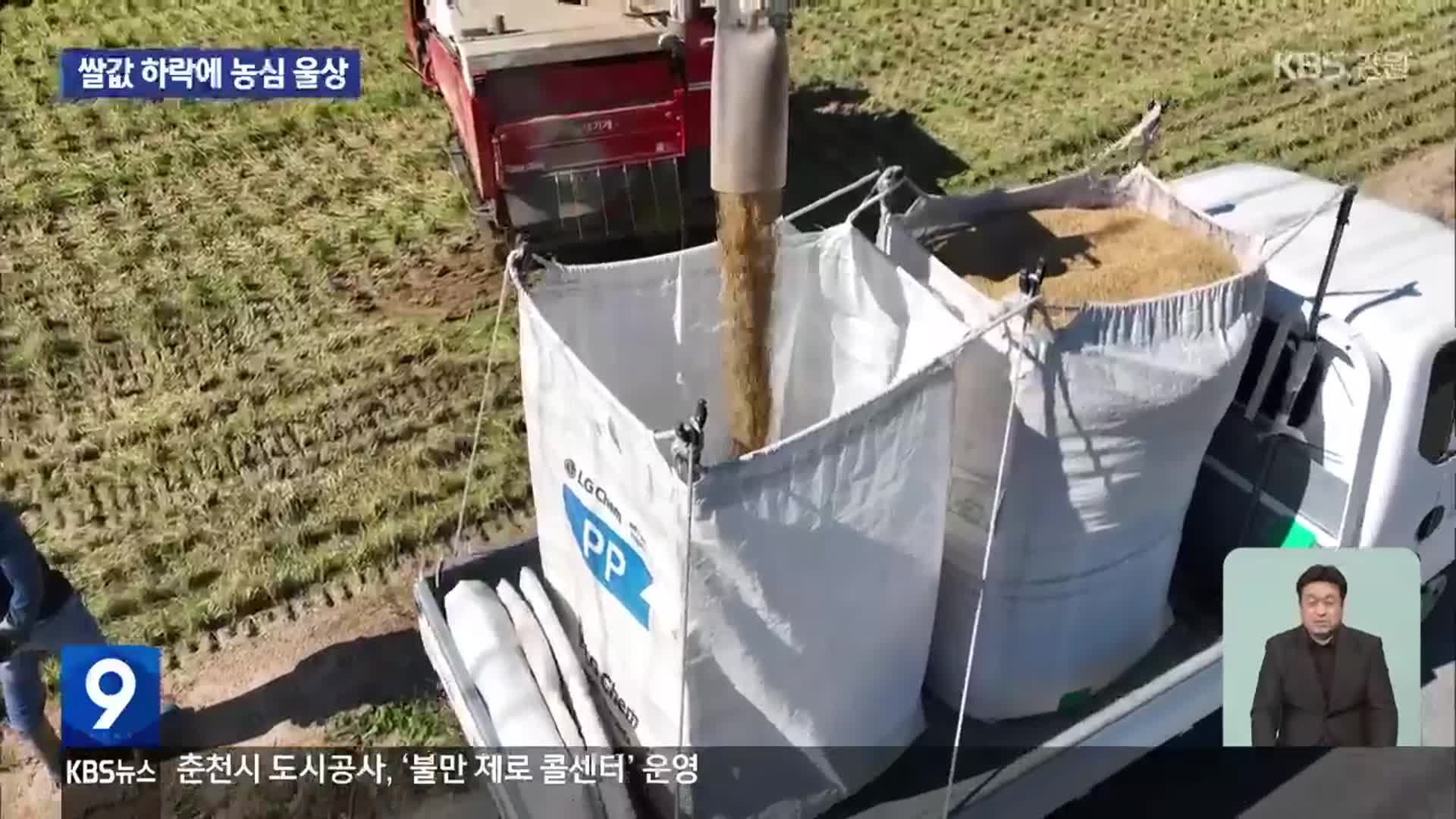 가을걷이 본격 시작…쌀값 하락에 ‘애타는 농심’