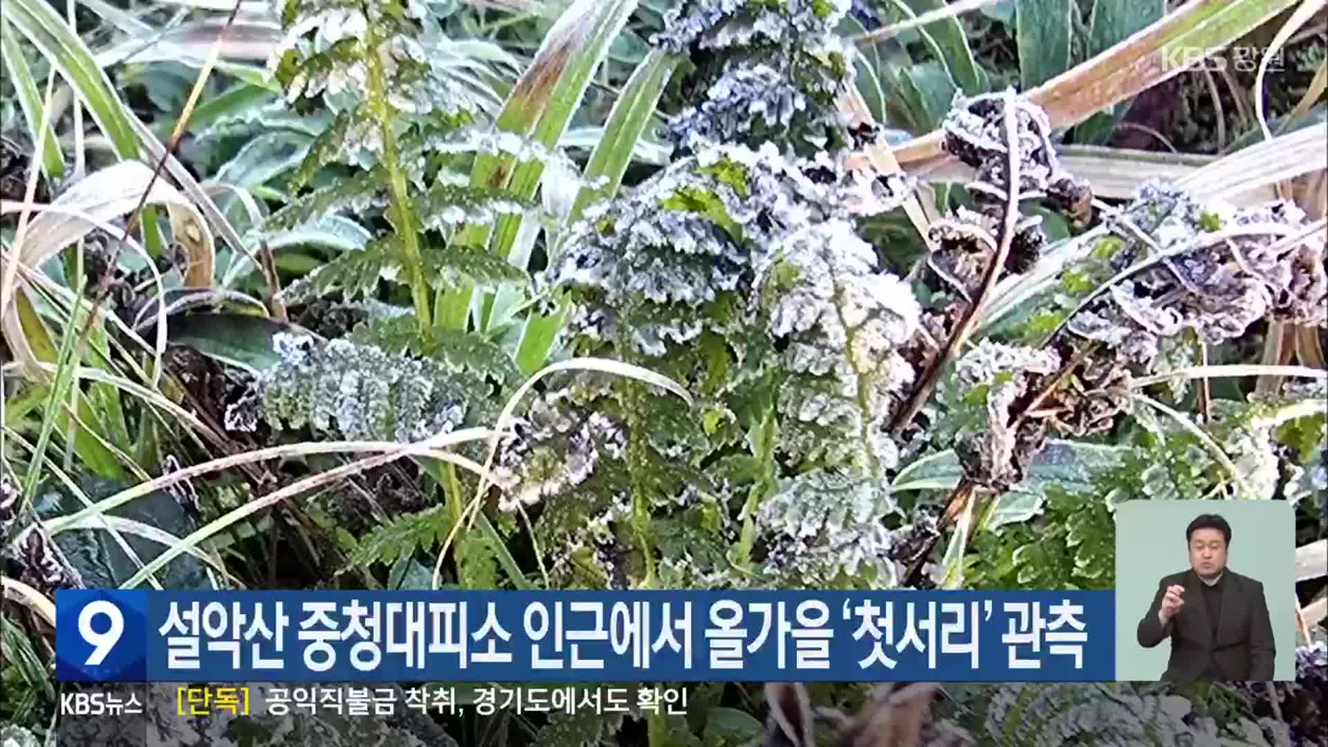 설악산 중청대피소 인근에서 올가을 ‘첫서리’ 관측