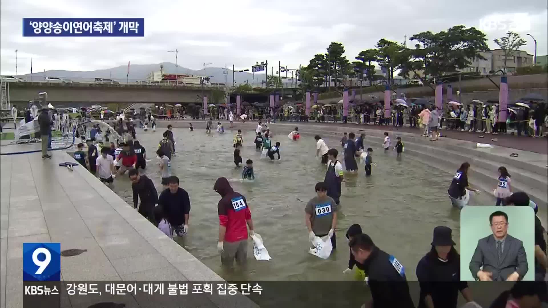 송이·연어가 한자리…‘양양송이연어축제’ 개막