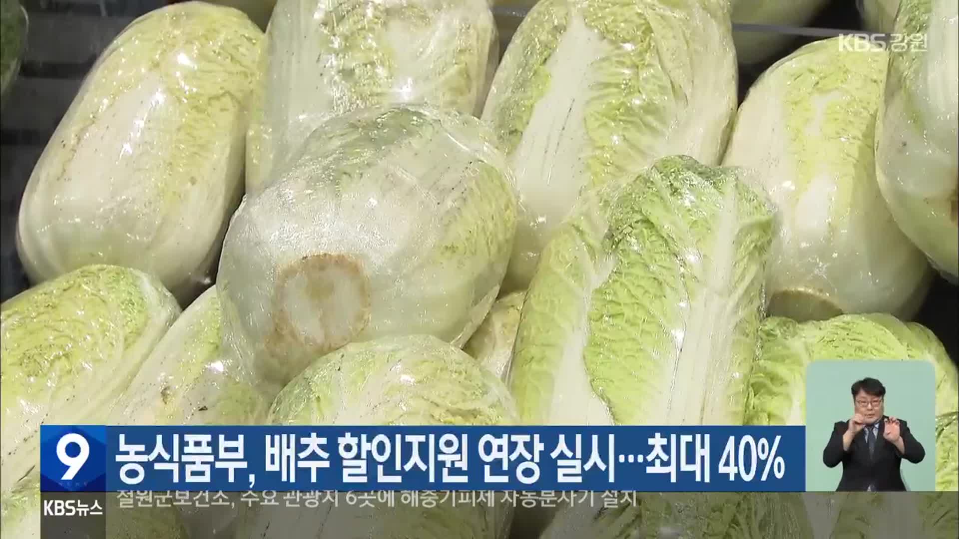 농식품부, 배추 할인지원 연장 실시…최대 40%