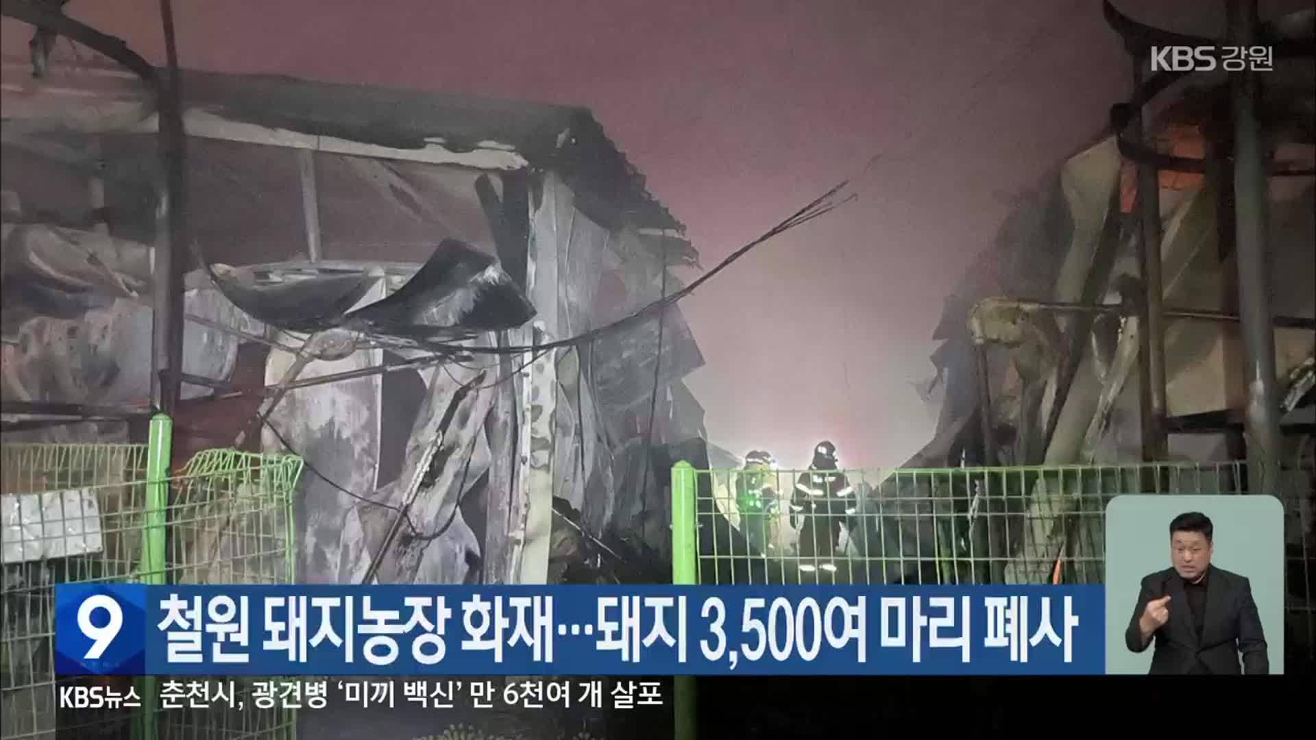 철원 돼지농장 화재…돼지 3,500여 마리 폐사