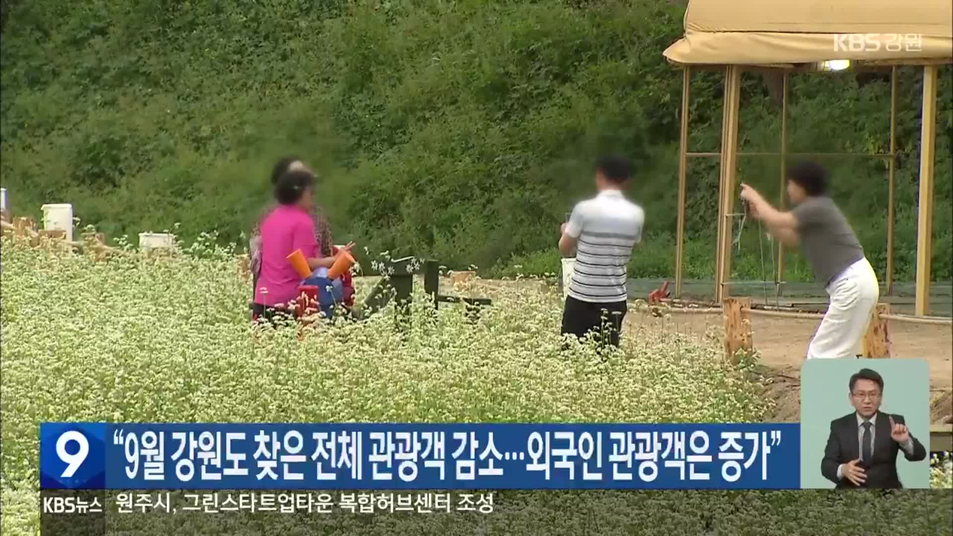 “9월 강원도 찾은 전체 관광객 감소…외국인 관광객은 증가”