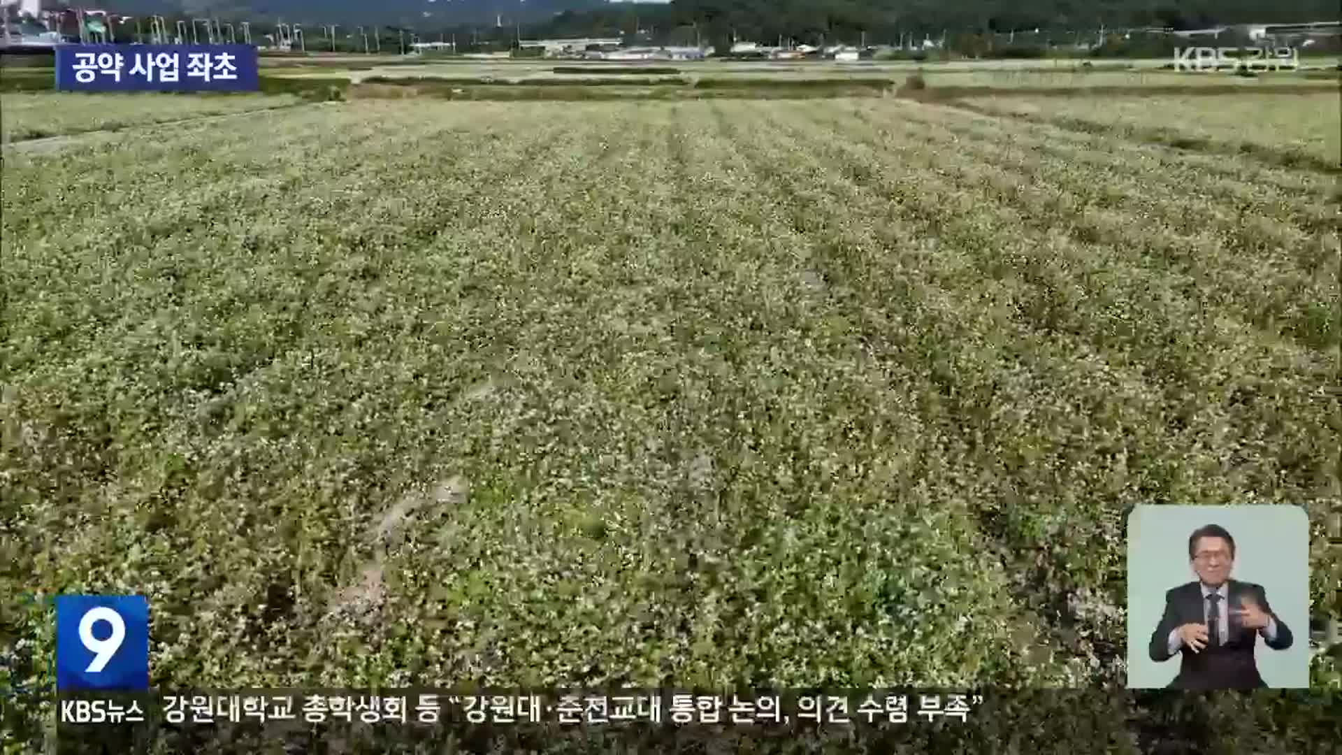 횡성 ‘버덩말경관농업’ 중단…군수 공약사업 ‘좌초’