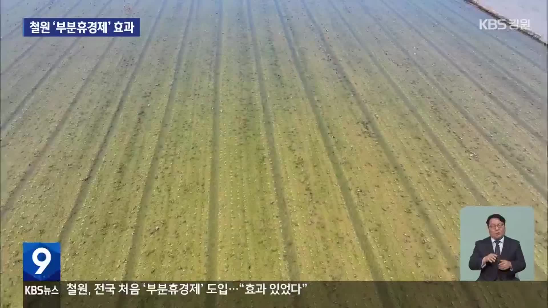 철원 부분휴경제 ‘성공’…내년 예산 대폭 확대