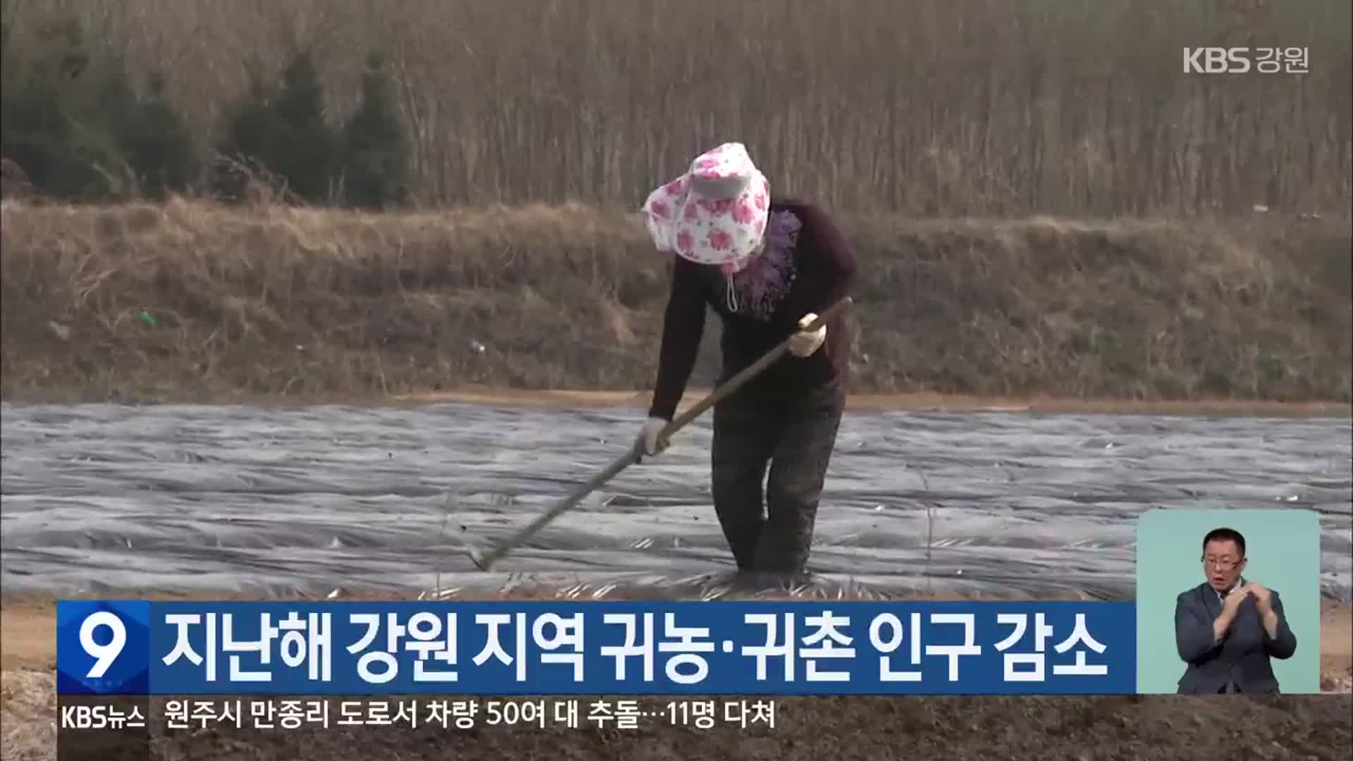 지난해 강원 지역 귀농·귀촌 인구 감소