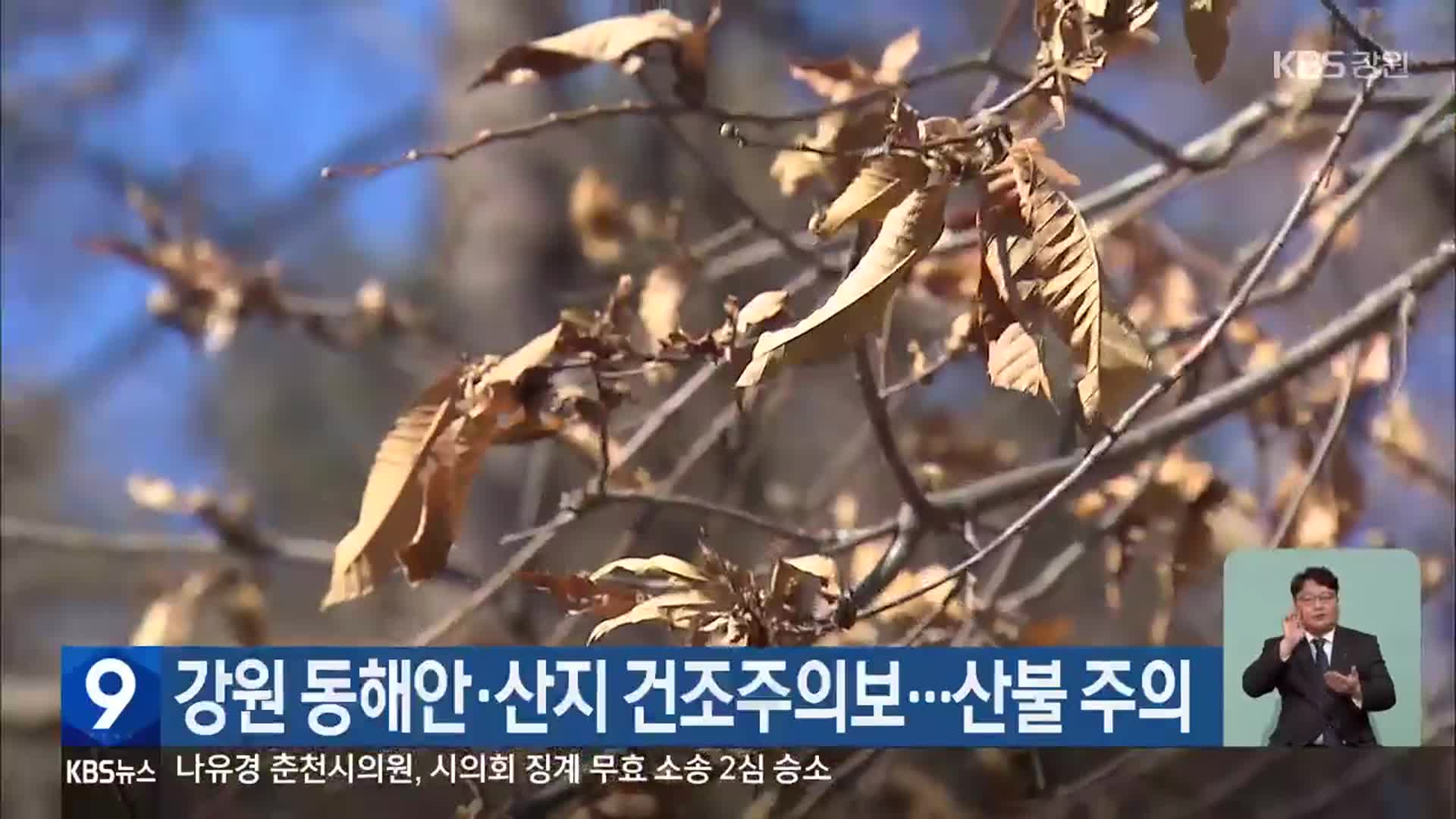 강원 동해안·산지 건조주의보…산불 주의